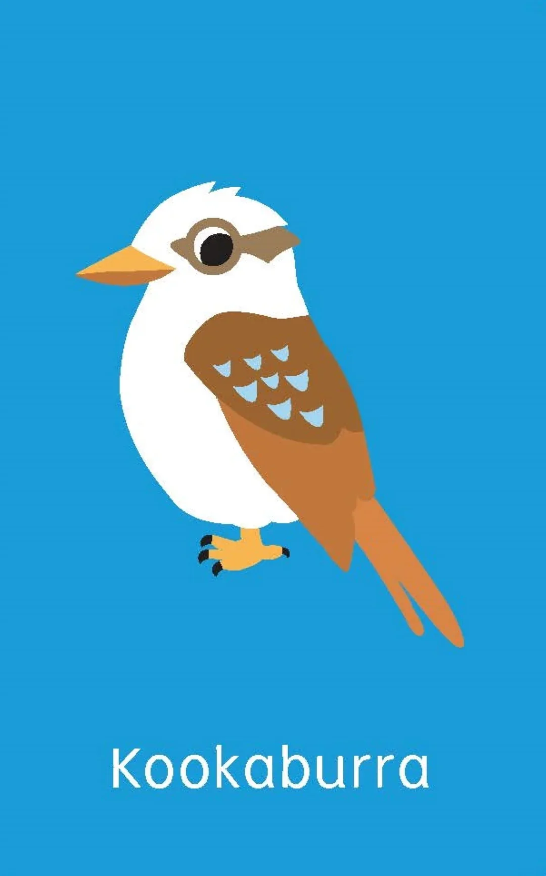 Little Genius Volume 2 - Snap Cards - Australian Animals - Image 3