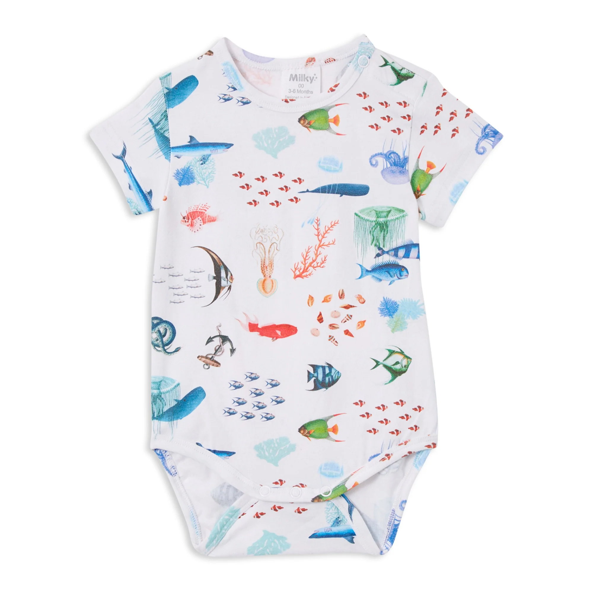 Coastal Bubbysuit