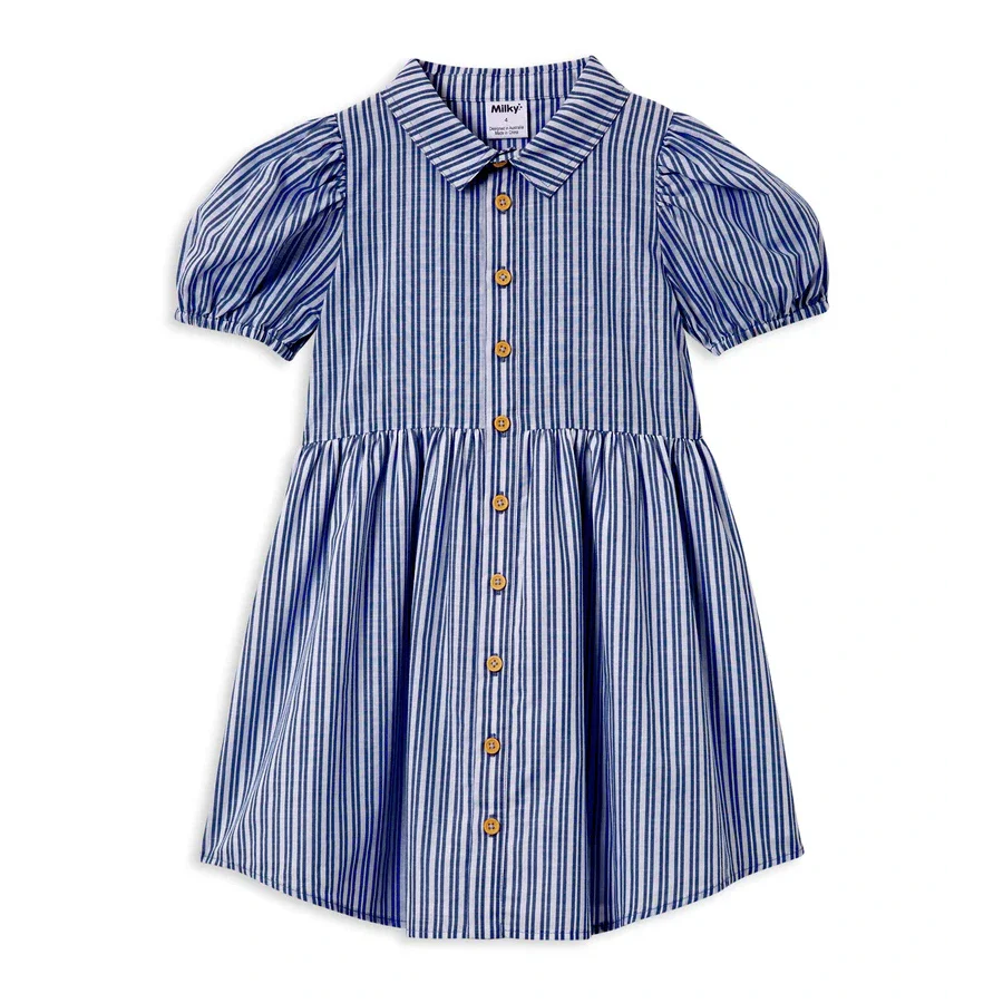 Marine Stripe Dress