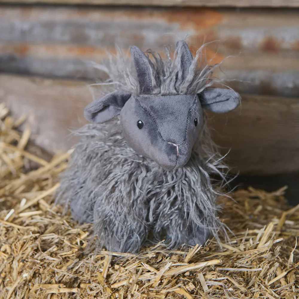 Aiden the Angora Goat - Image 2