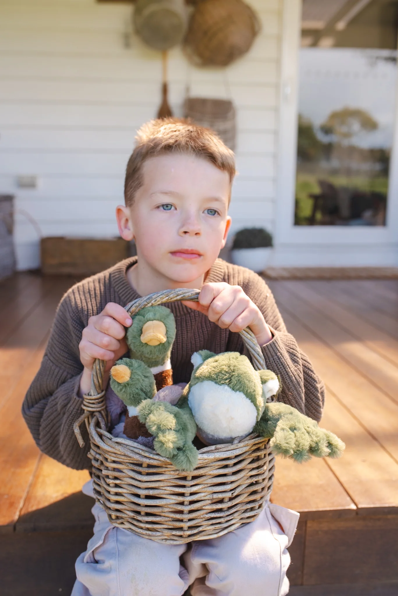 Finley the Frog - Image 5
