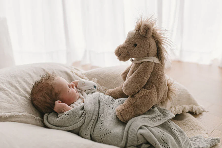 Harvey the Horse - Image 4