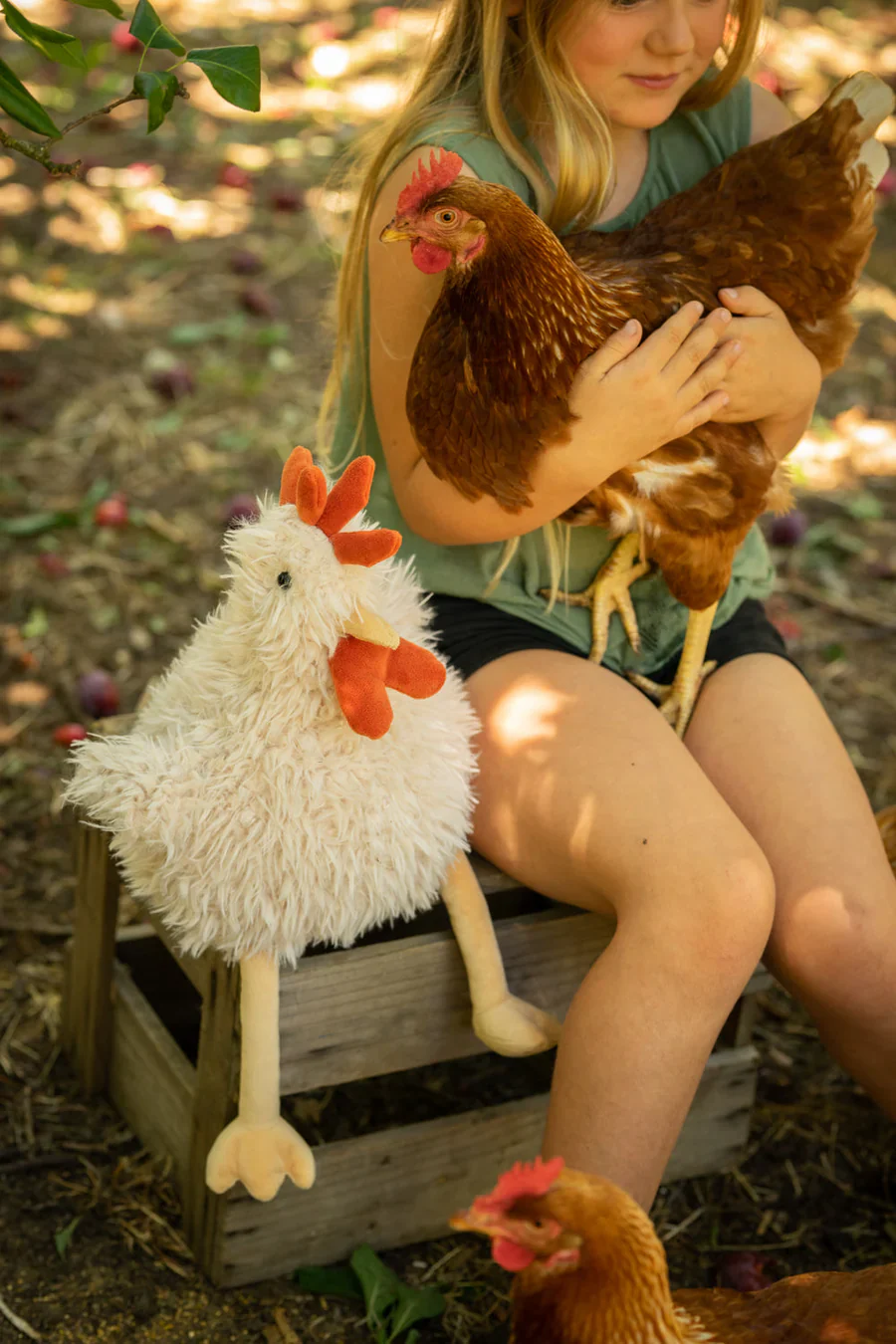Roy the Rooster - Image 3