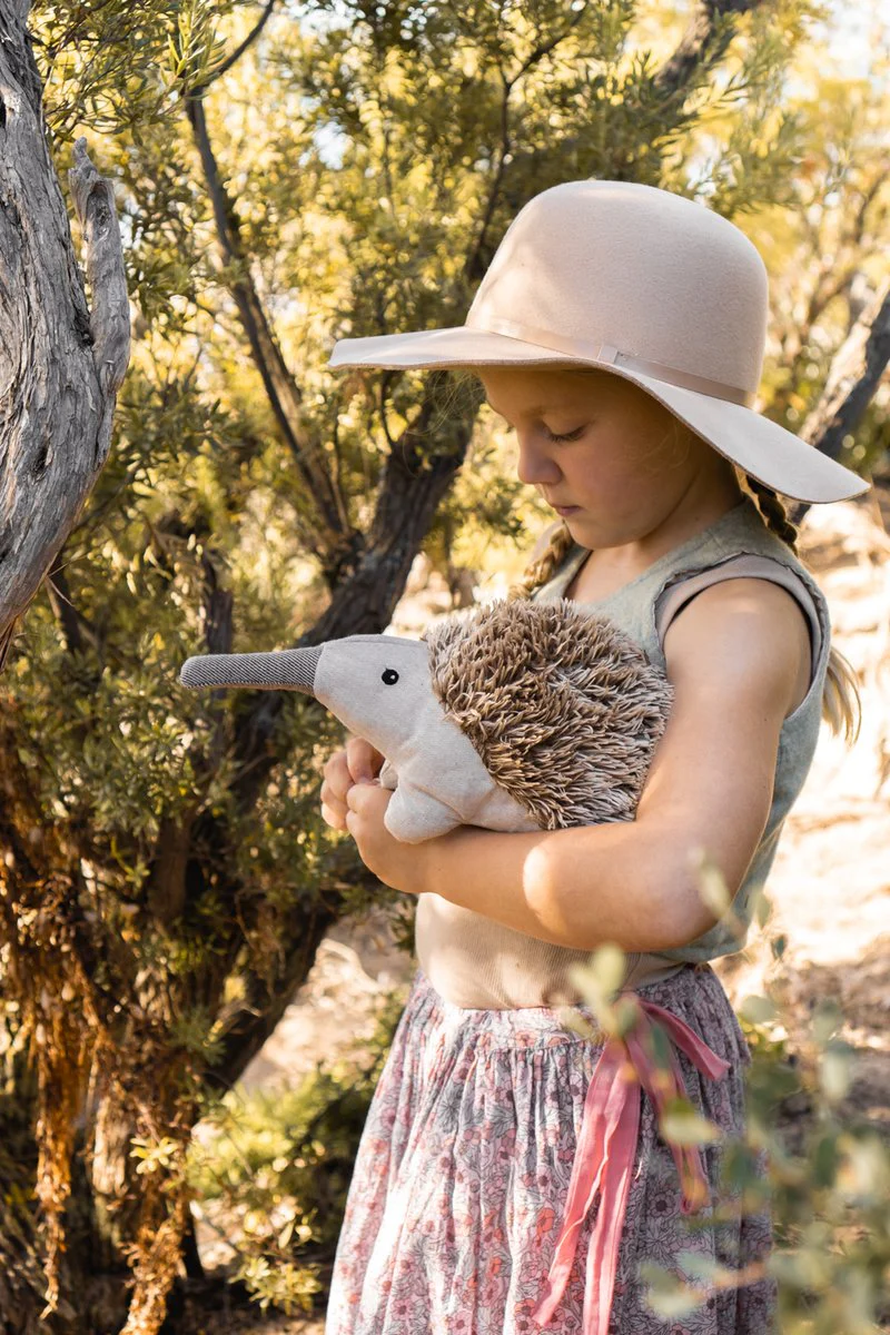 Spike the Echidna - Image 2
