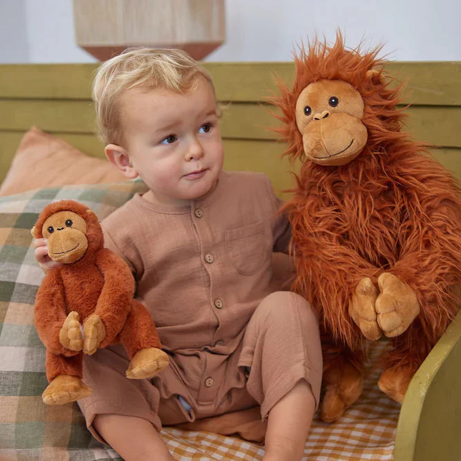 The Orangutans - Image 2
