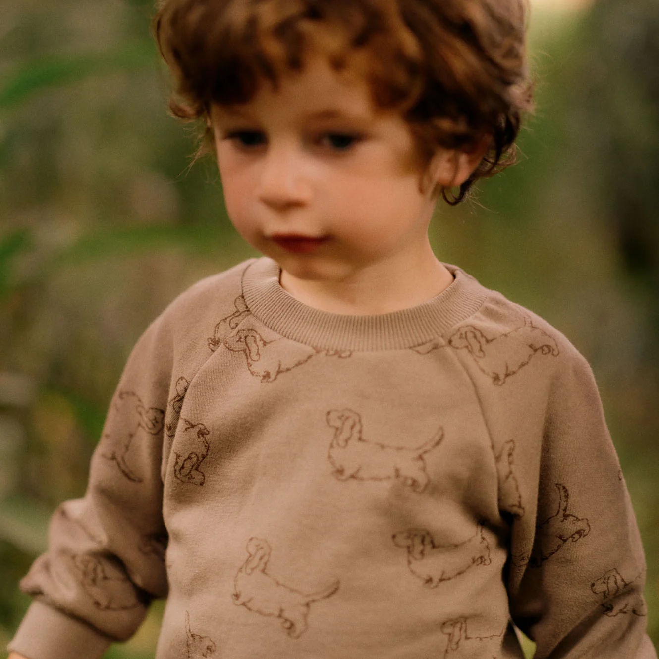 Emerson Sweater - Happy Hounds Print - Image 2