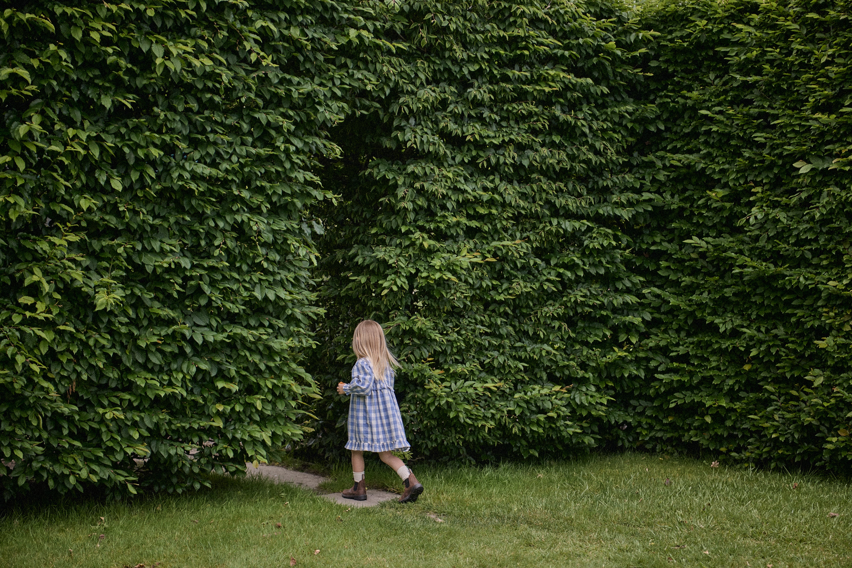 Nora Dress - Bluebelle Check - Image 3