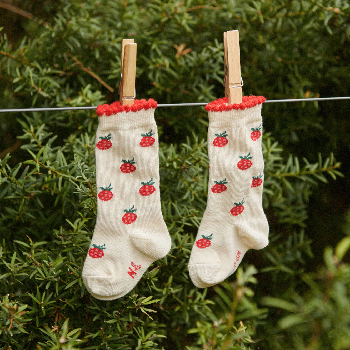 Organic Cotton Socks - Raspberries - Image 2