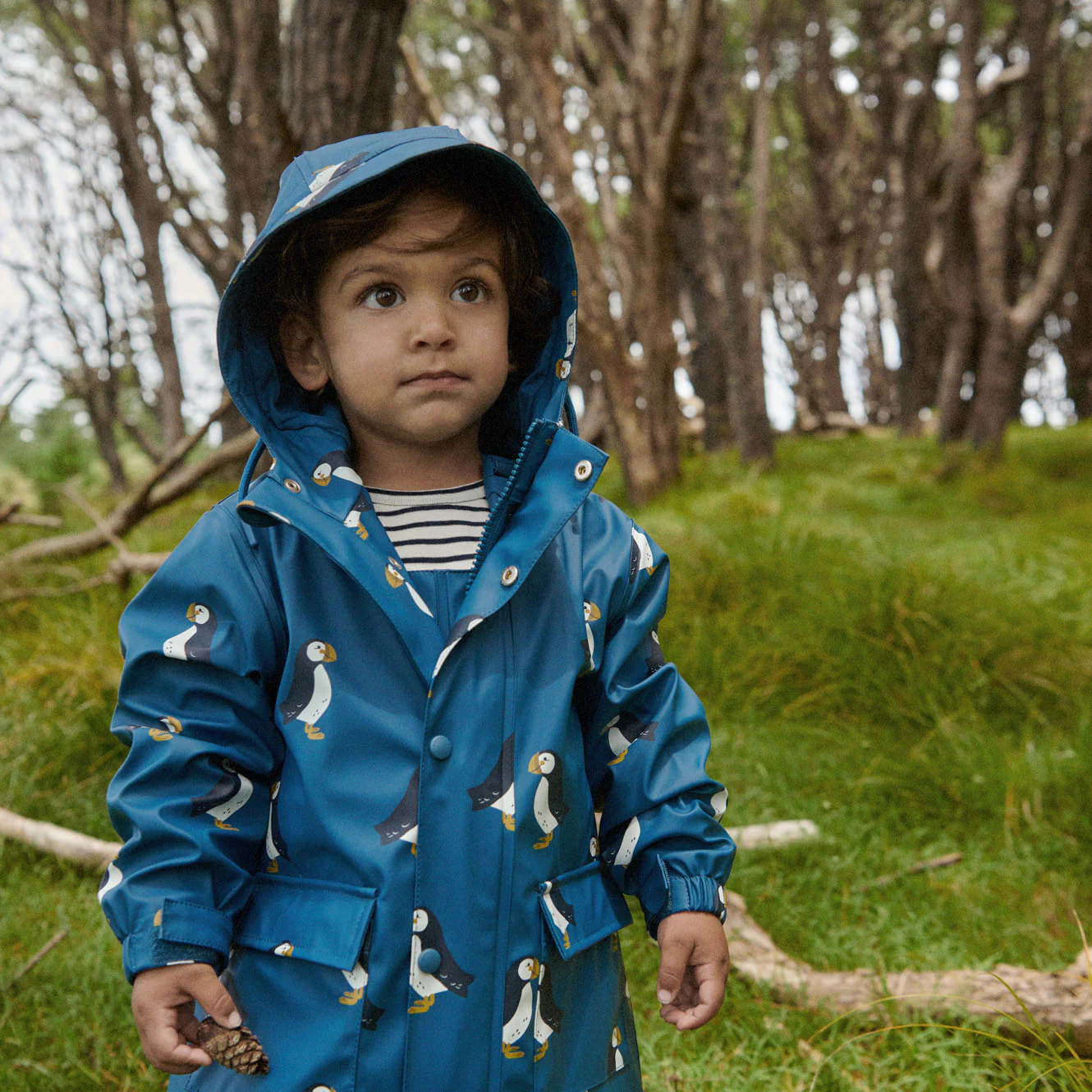 Raincoat - Puffin Teal Print - Image 2