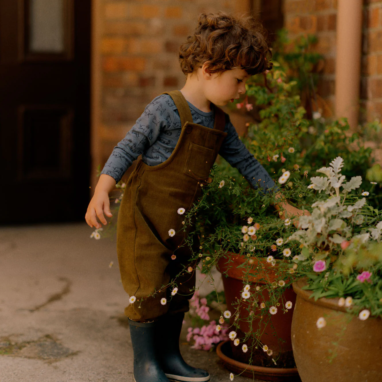 Tipper Overalls - Herb - Image 2