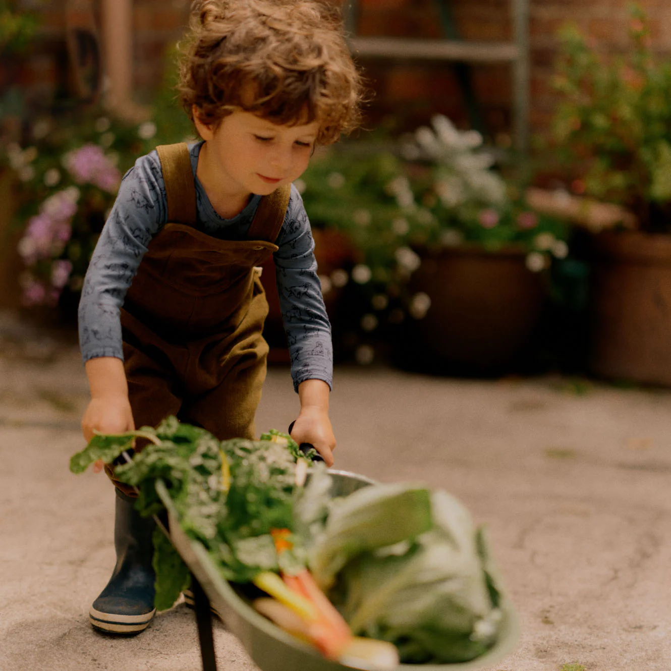 Tipper Overalls - Herb - Image 3