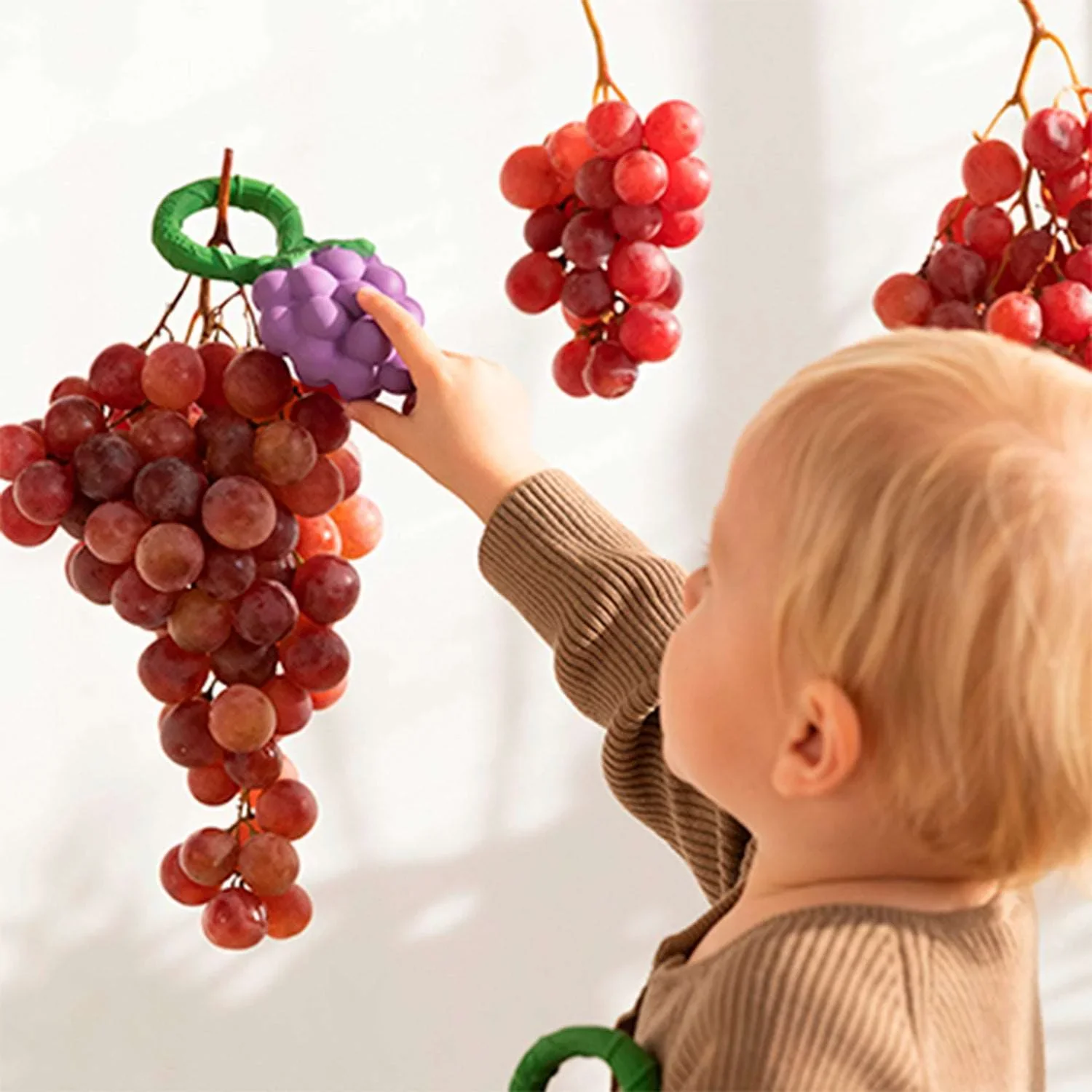Grape Rattle Toy - Image 3