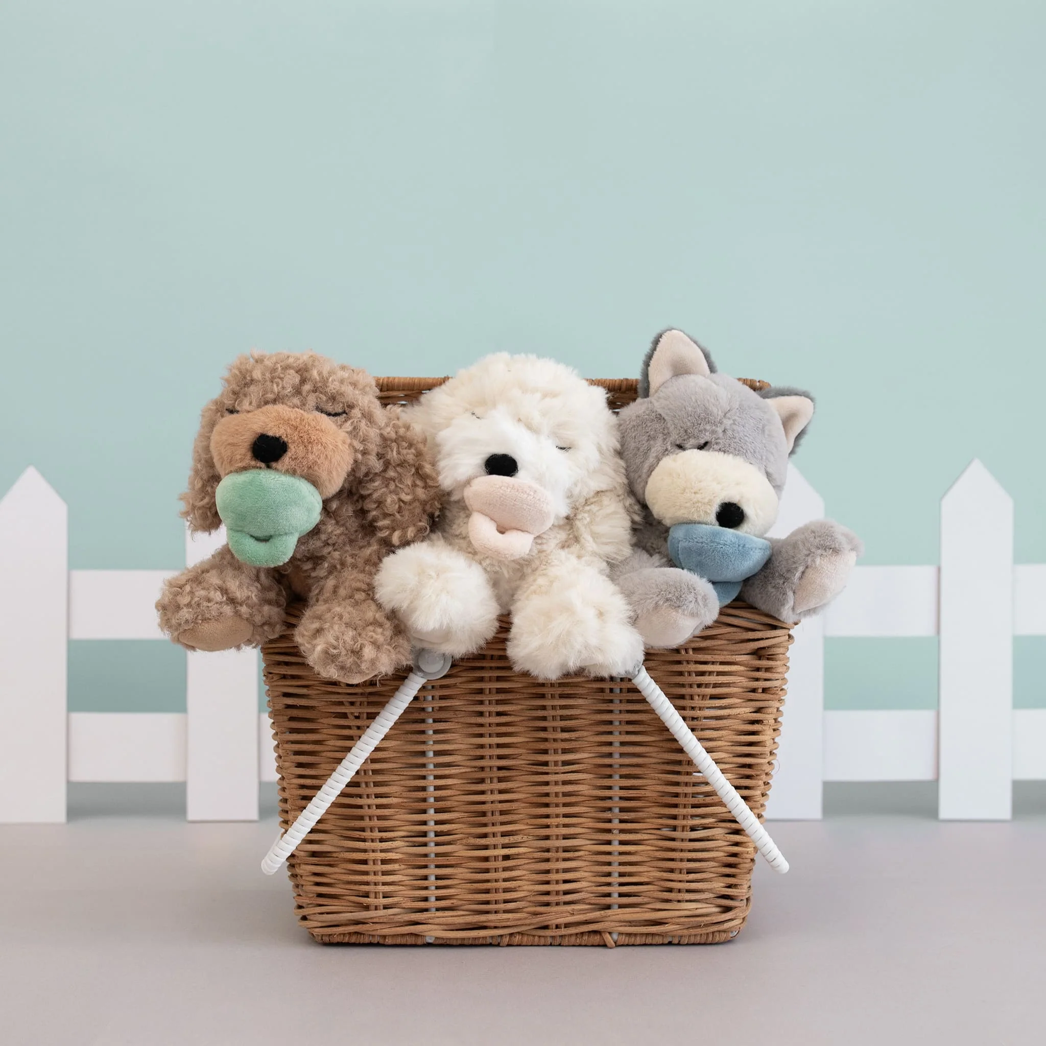 Binky Puppy - Benny - Image 4