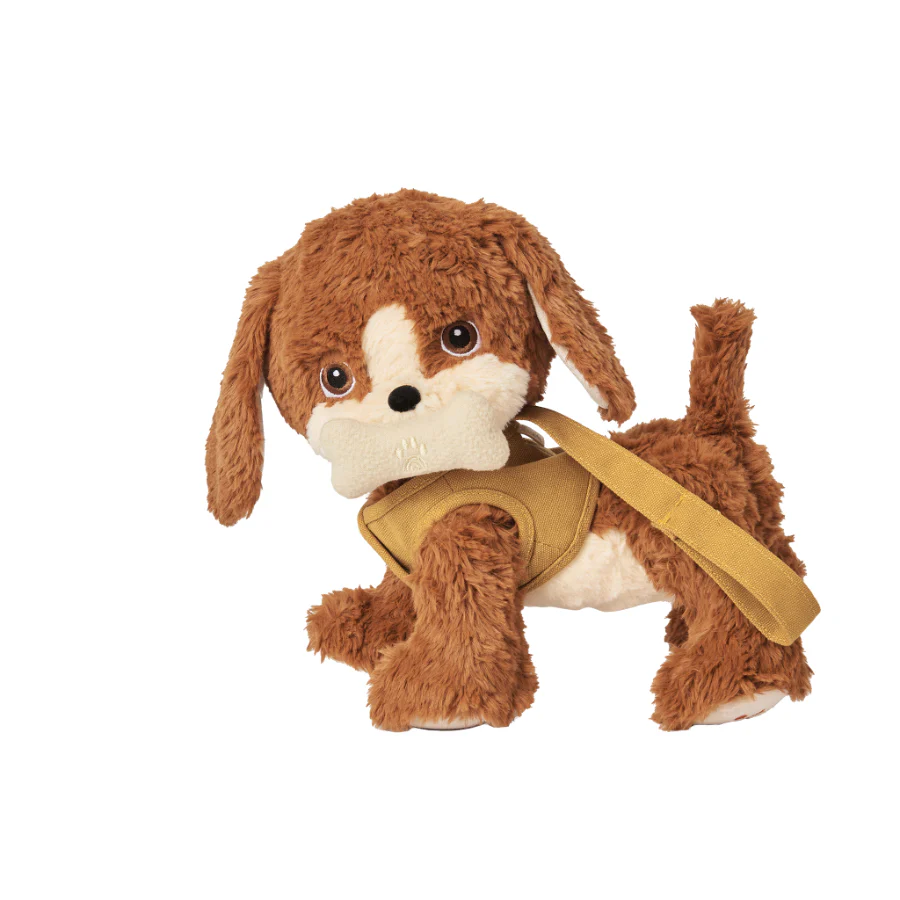Dinkum Dog - Buddy - Image 8