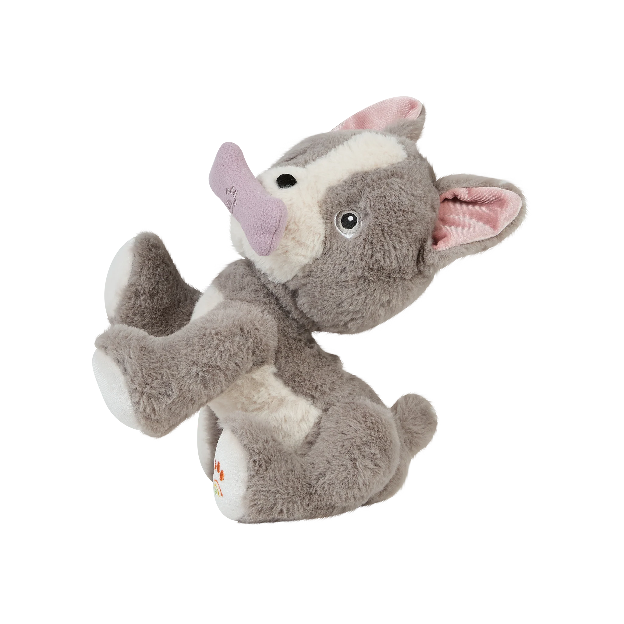 Dinkum Dog - Gizmo - Image 10
