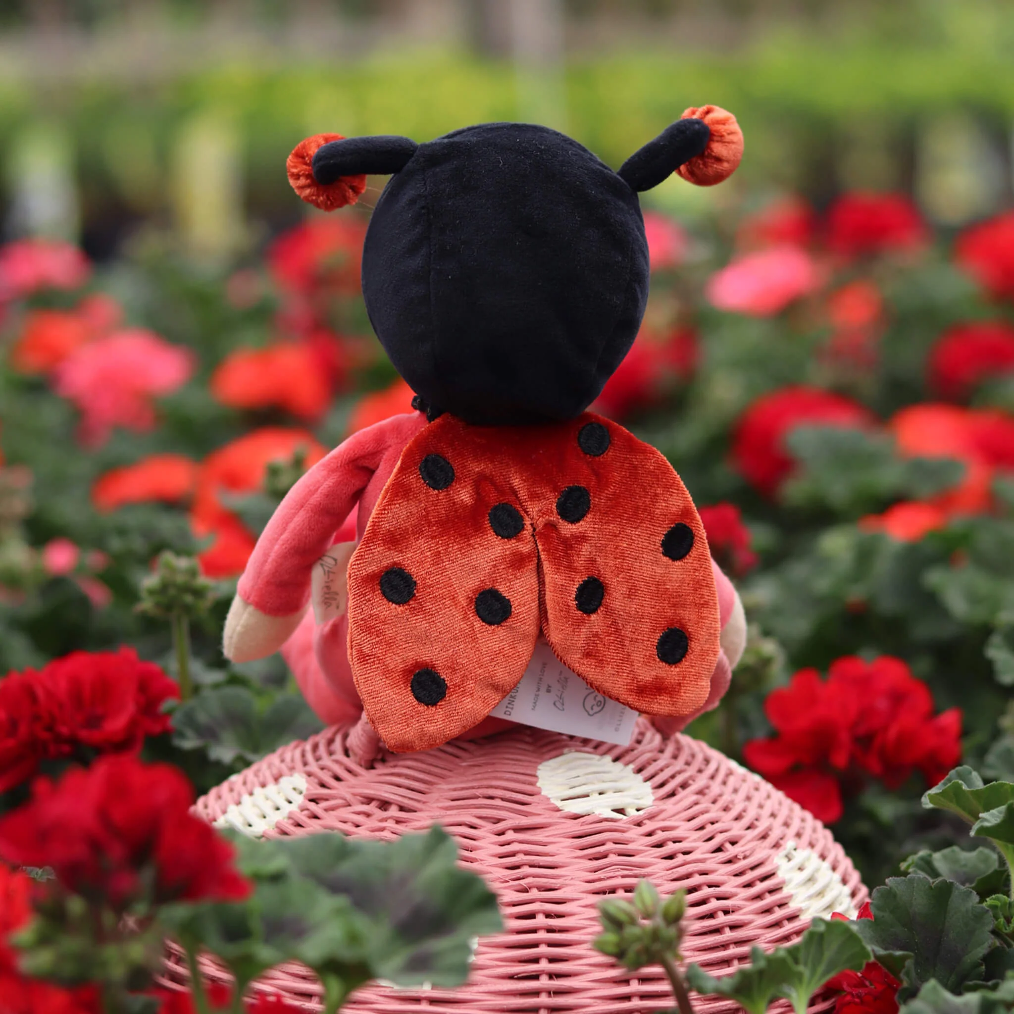 Dinky Dinkum - Lola Ladybug - Red - Image 3