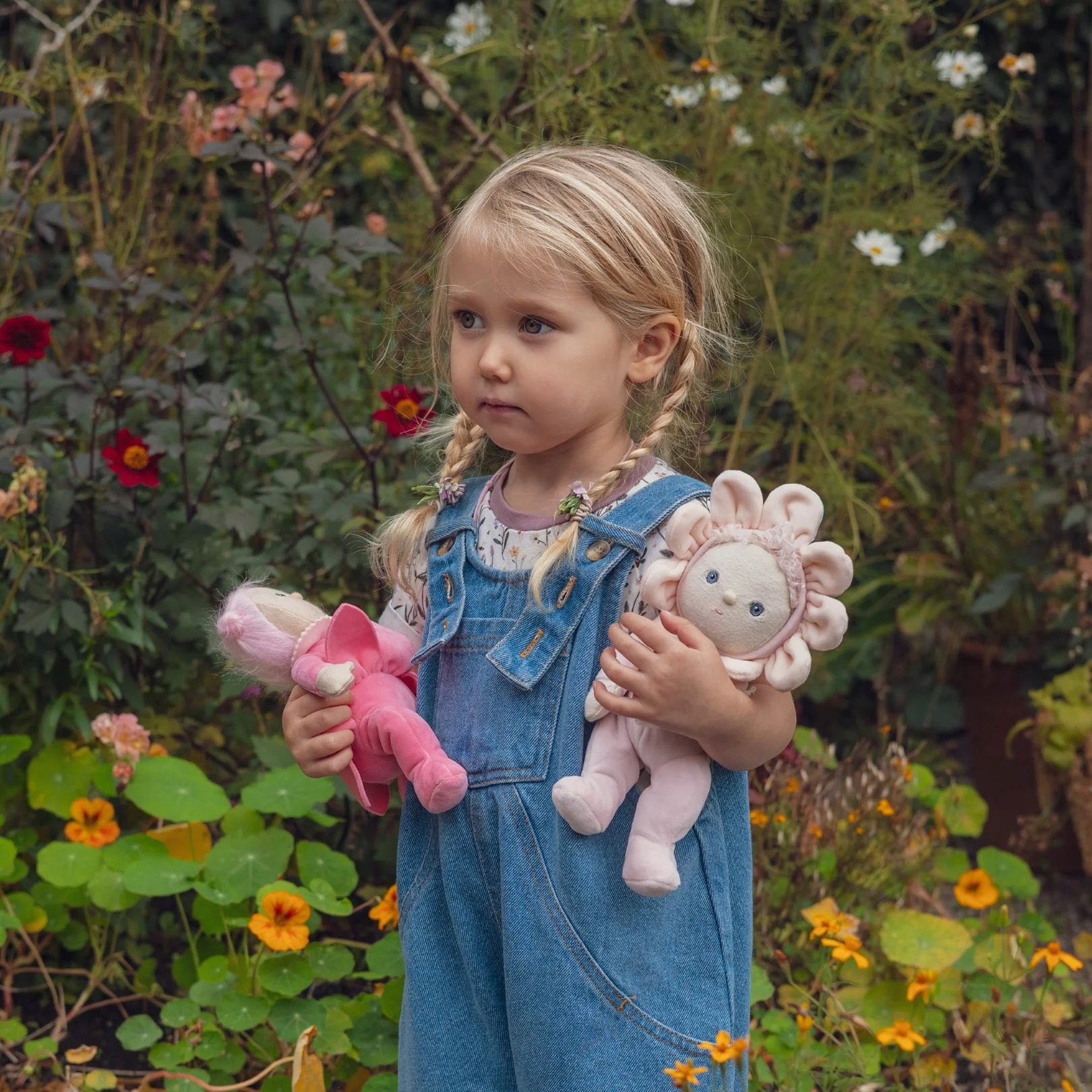 Dinky Dinkum - Rose - Image 2