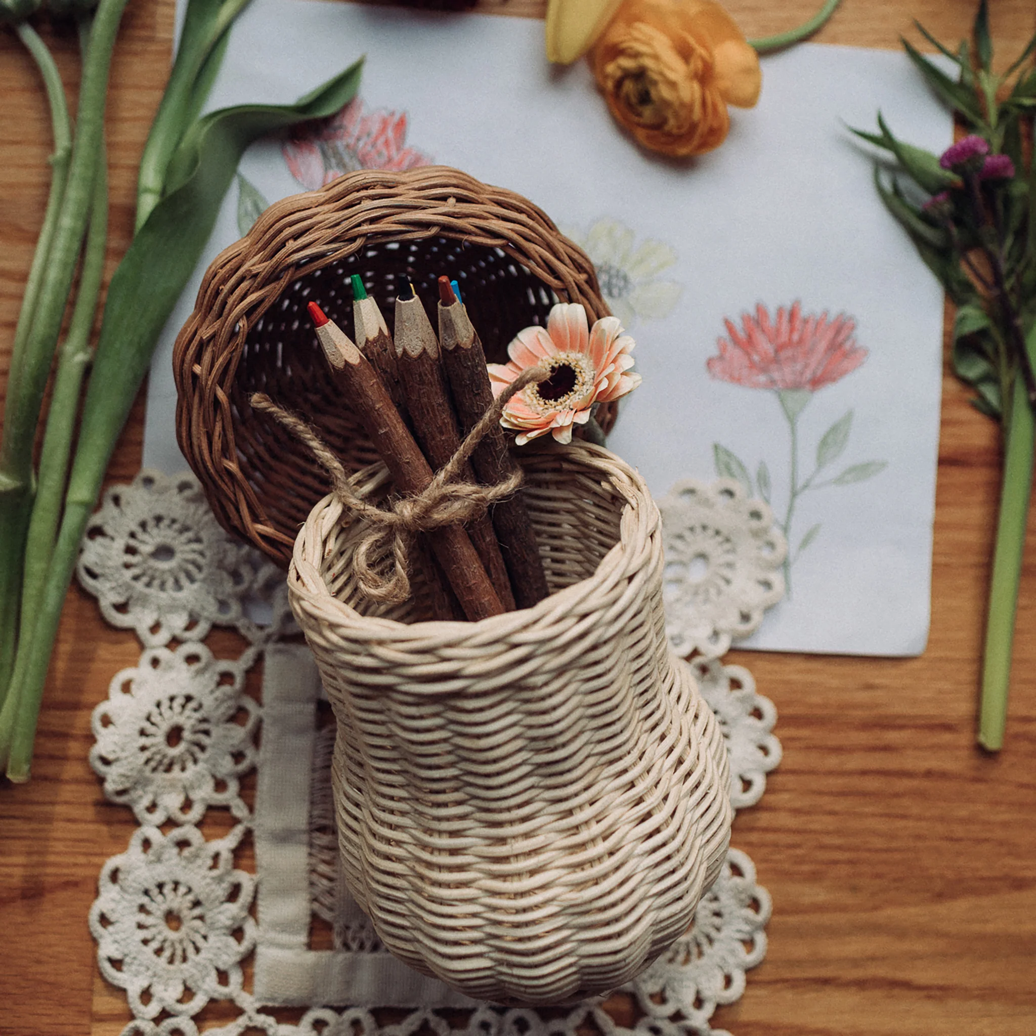Porcini Basket - Image 4