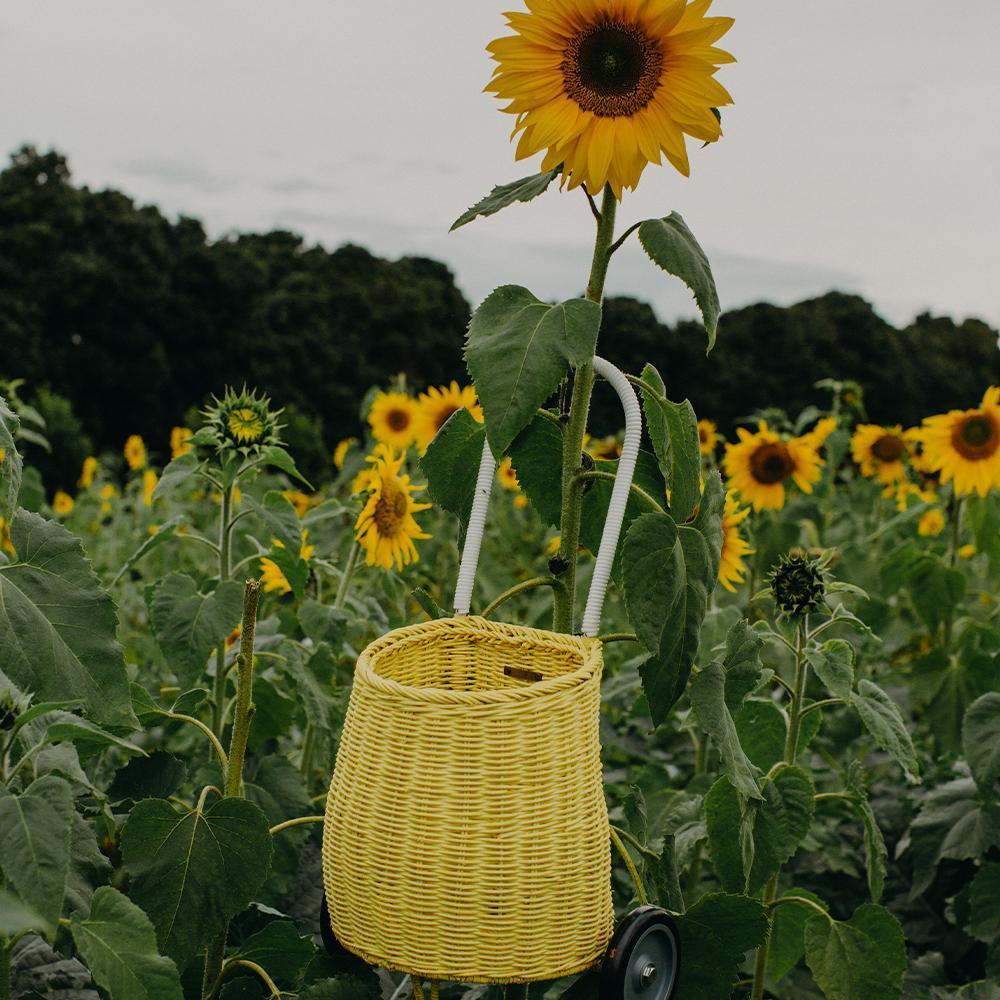 Rattan Luggy Basket - Lemon - Image 8