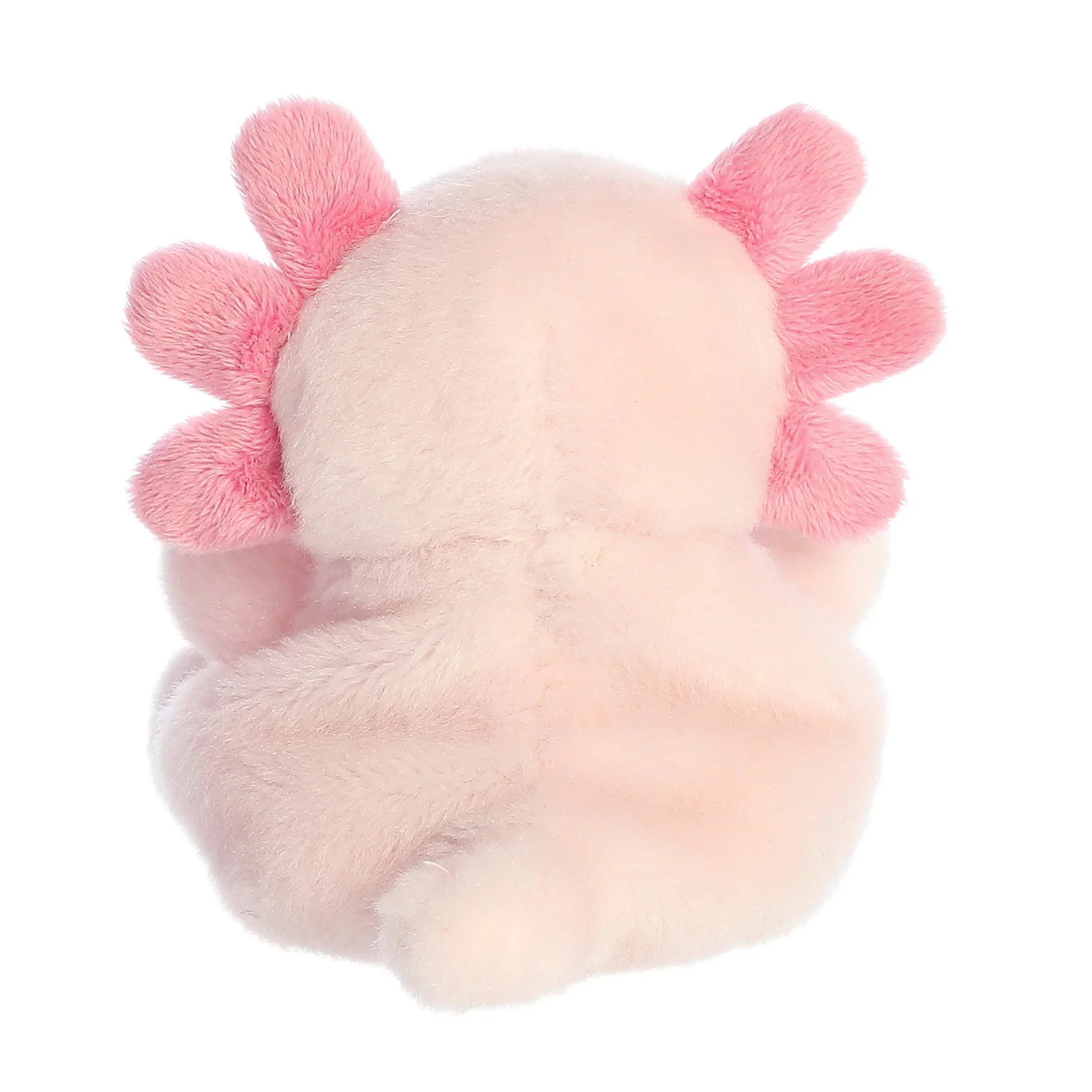 Ax Axolotl - Image 4