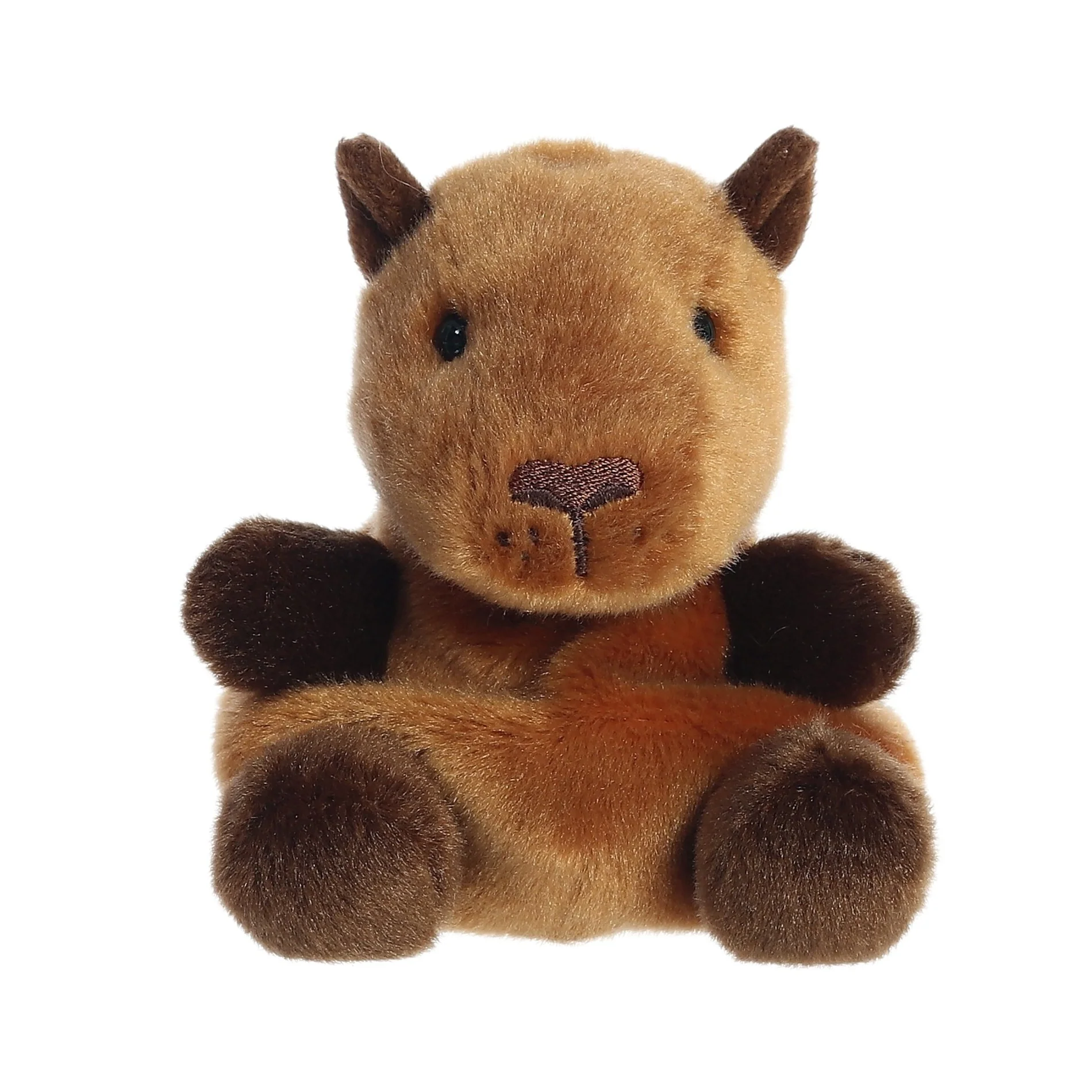 Sid Capybara