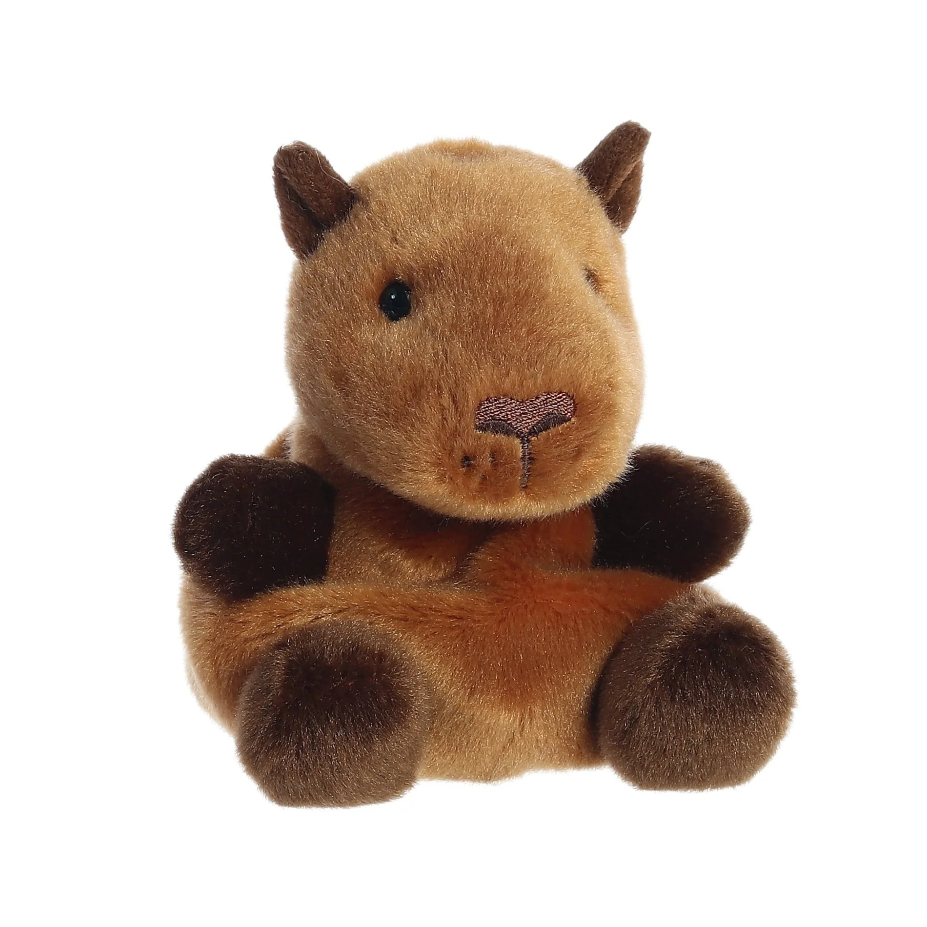 Sid Capybara - Image 2