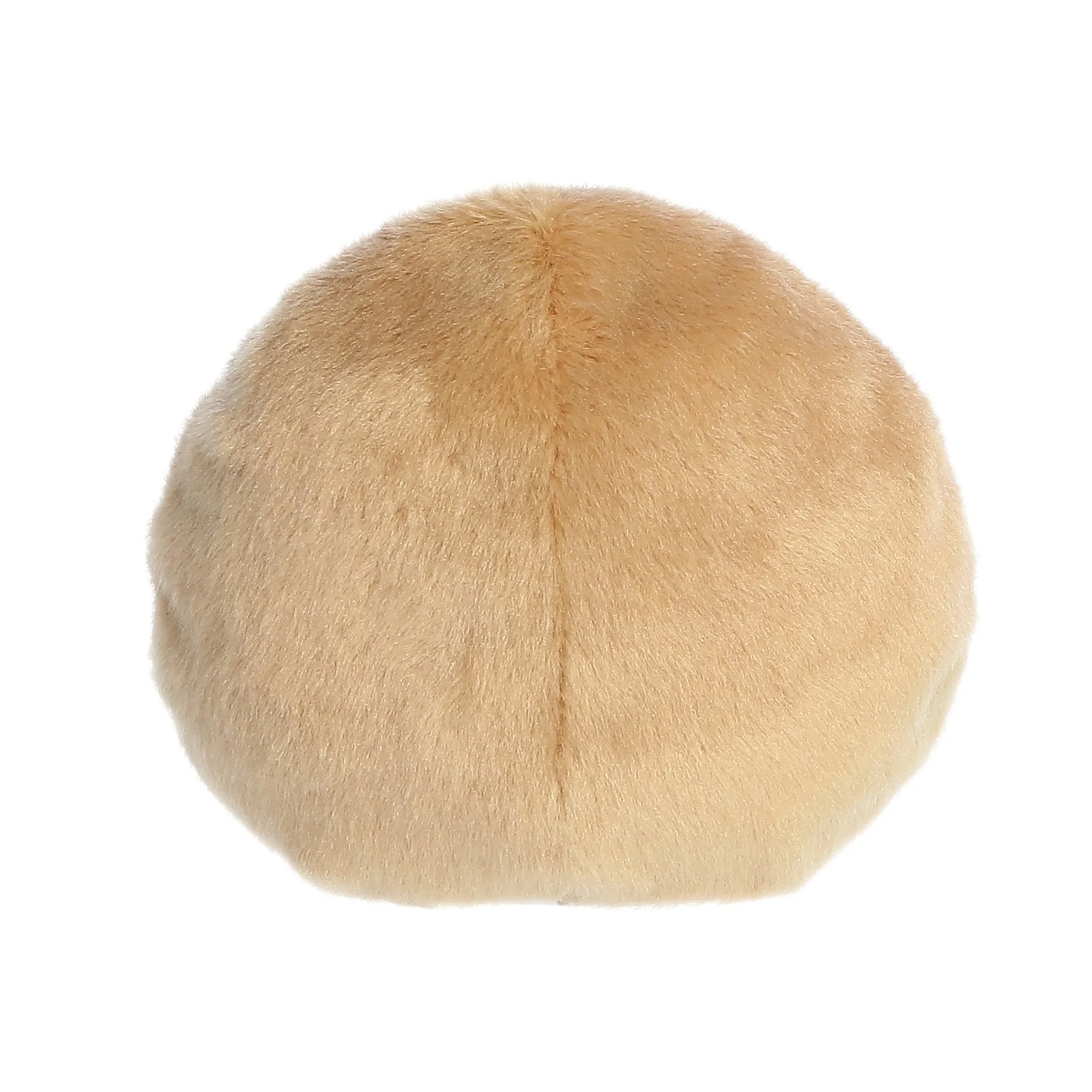 Claire Donut - Image 4