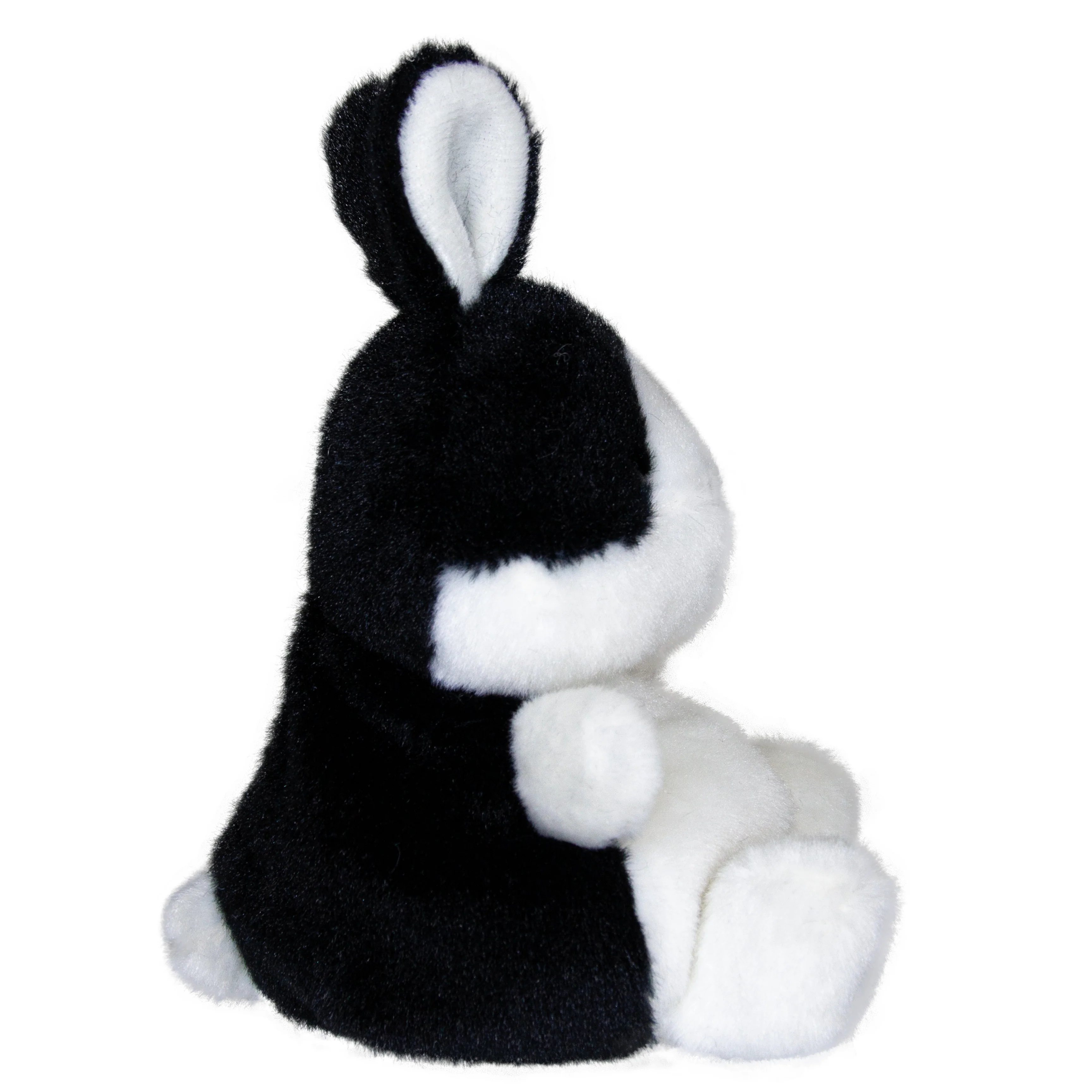 Dutch Bunny - Image 3