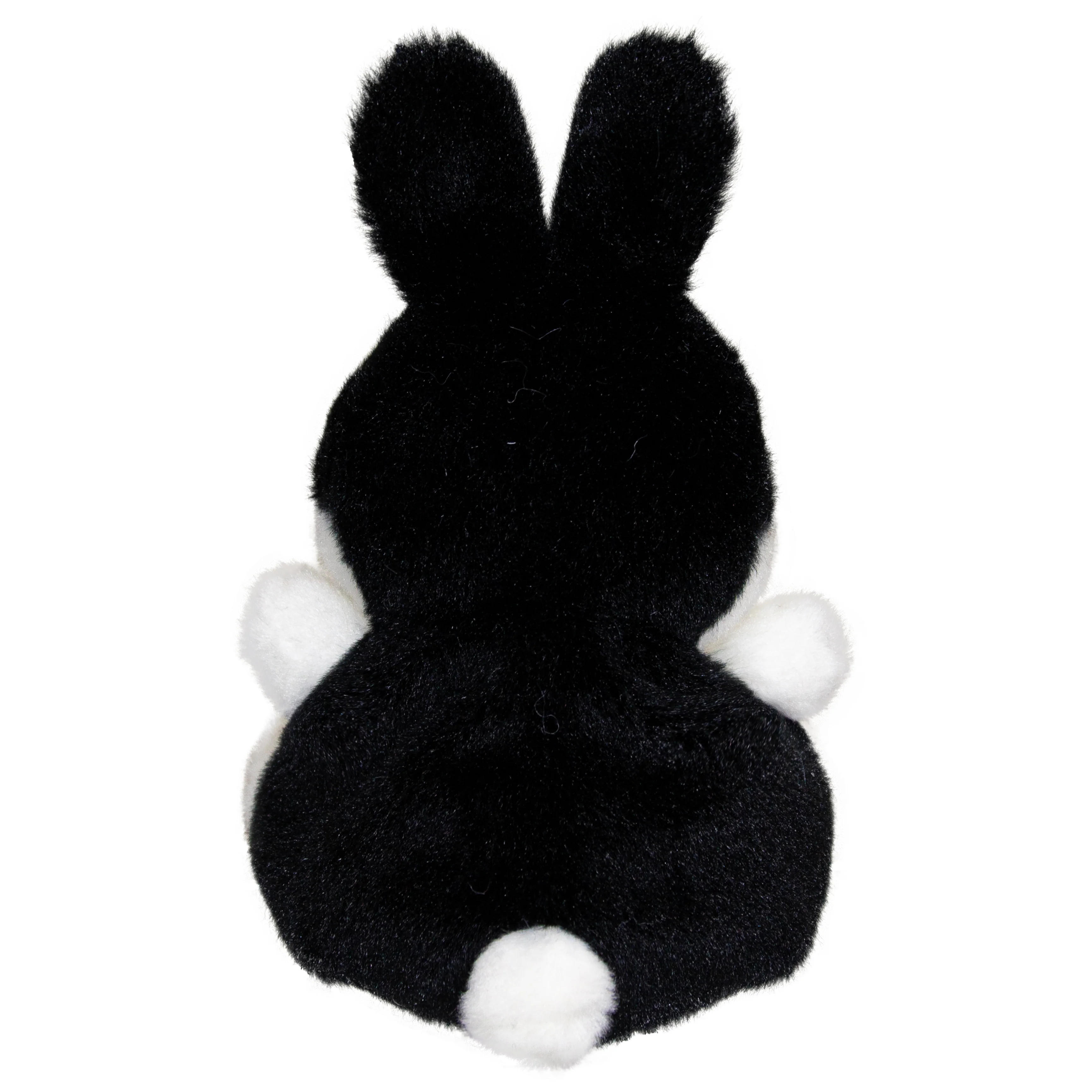 Dutch Bunny - Image 4