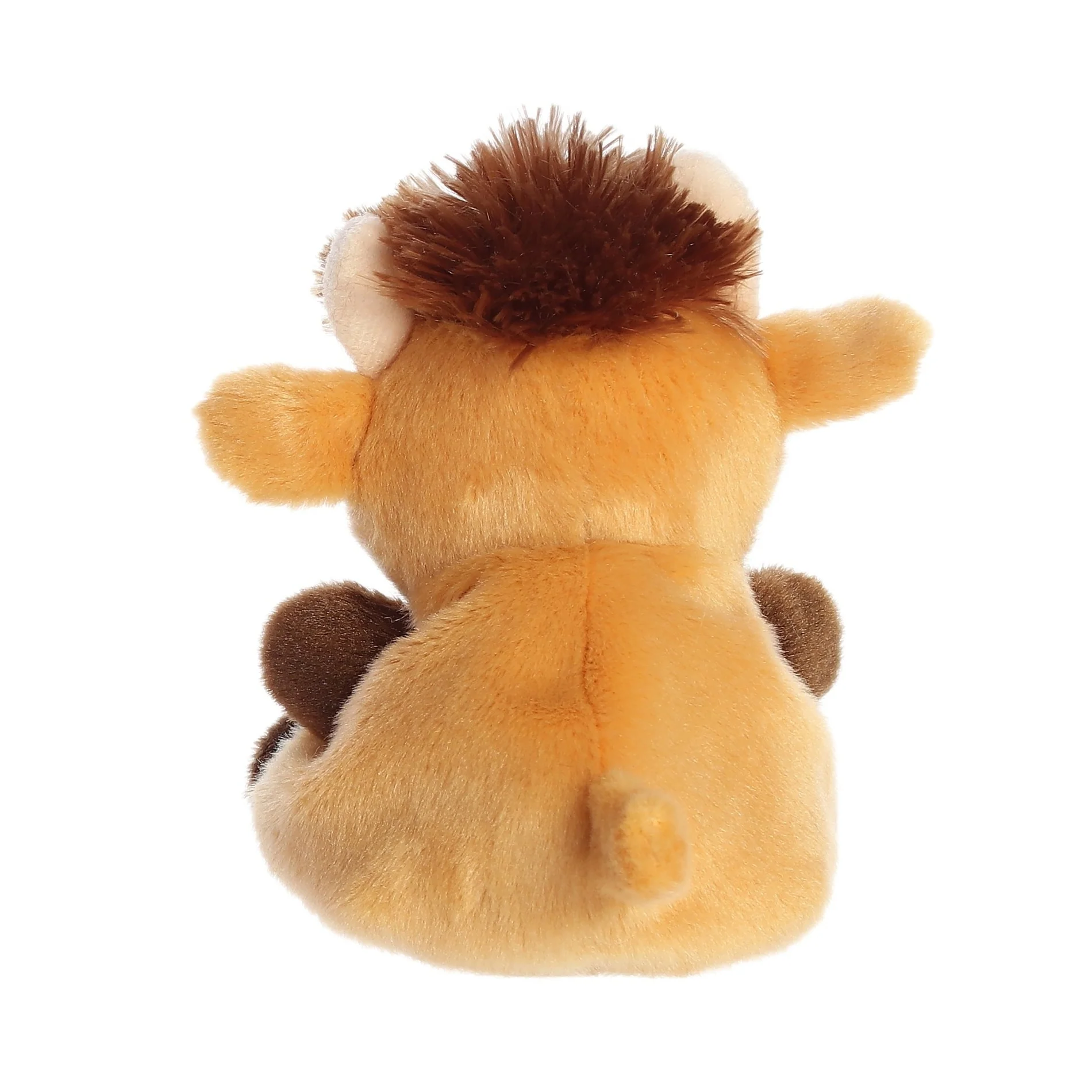 Hubert Highland Cow - Image 4