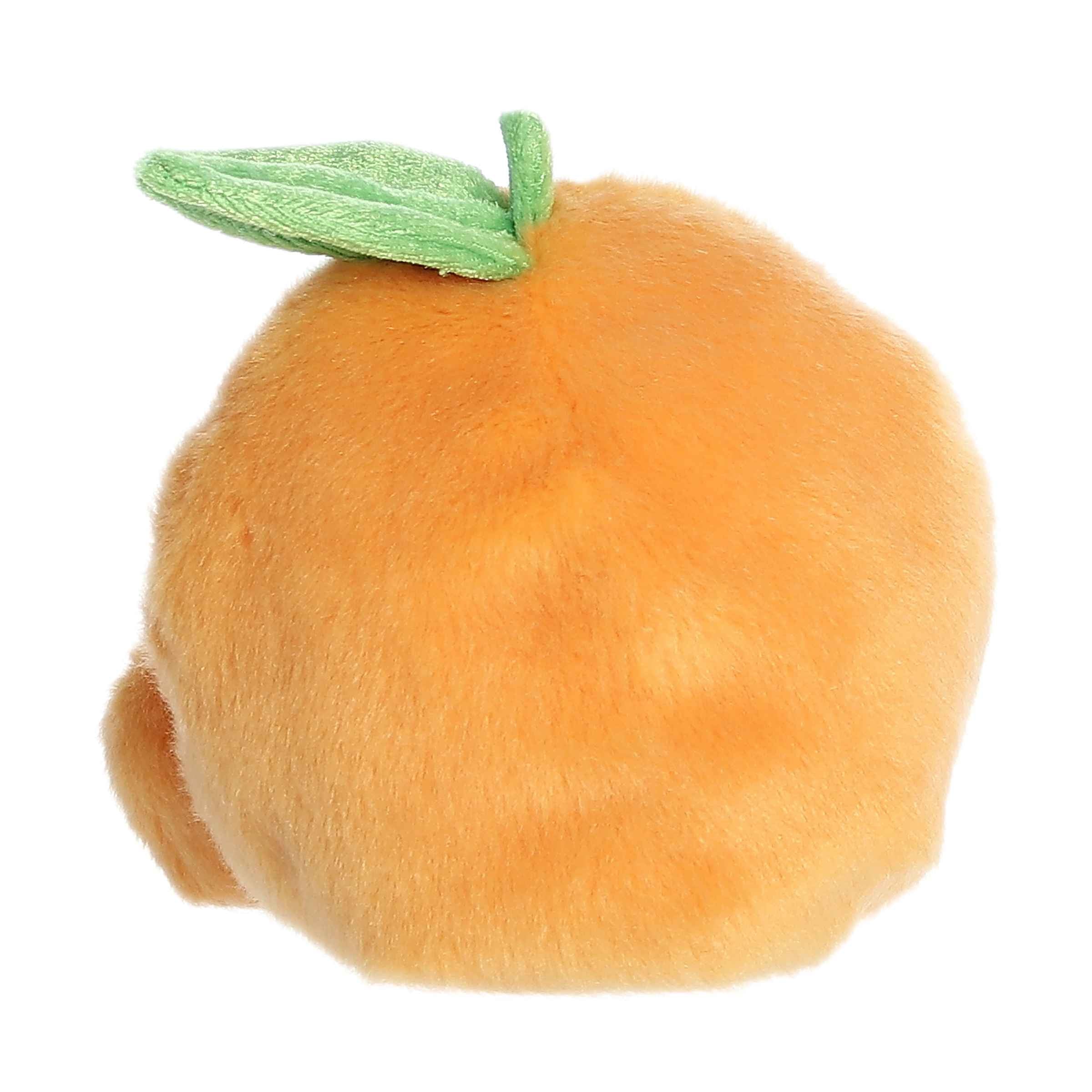 Tangie Orange - Image 4
