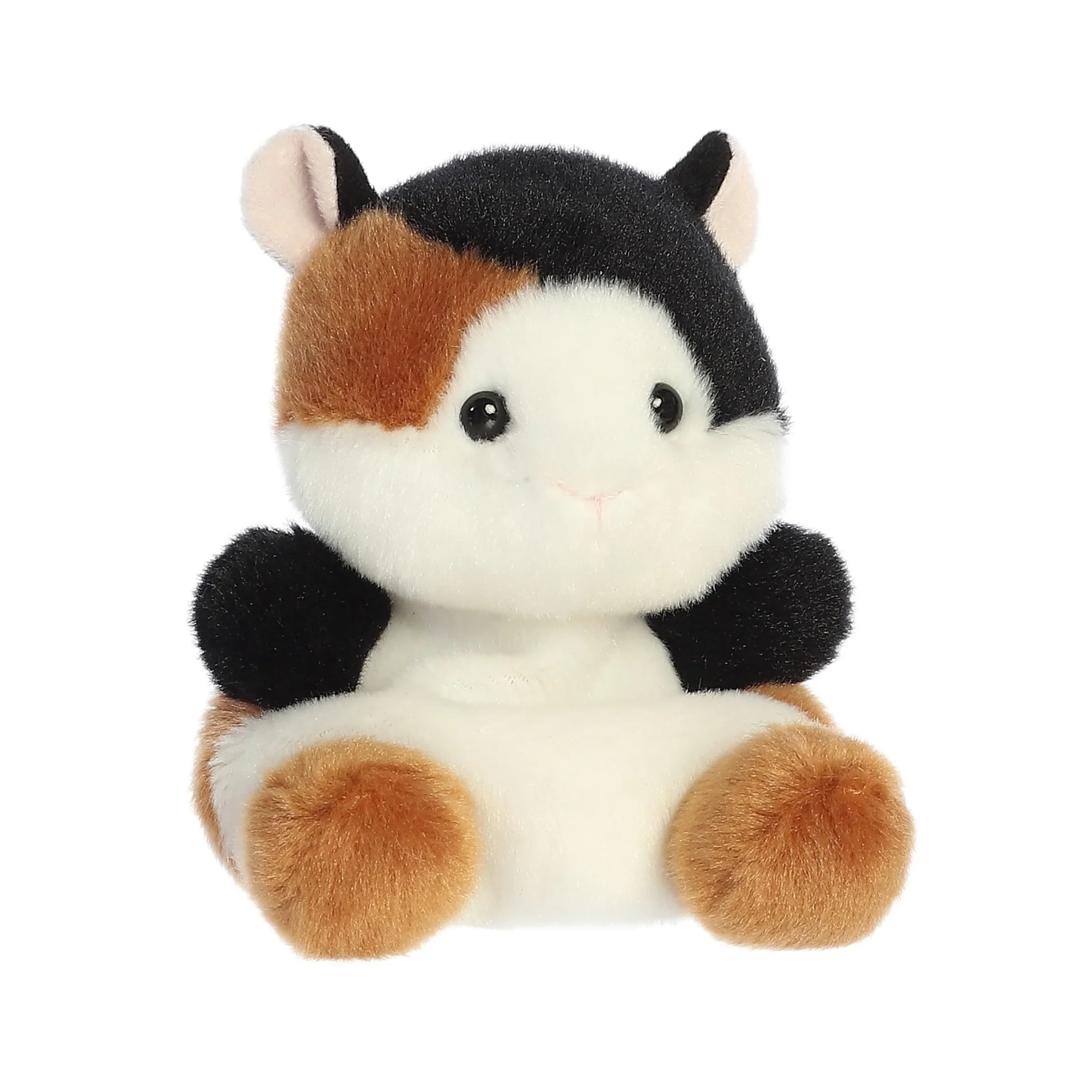 Nutmeg Guinea Pig - Image 2