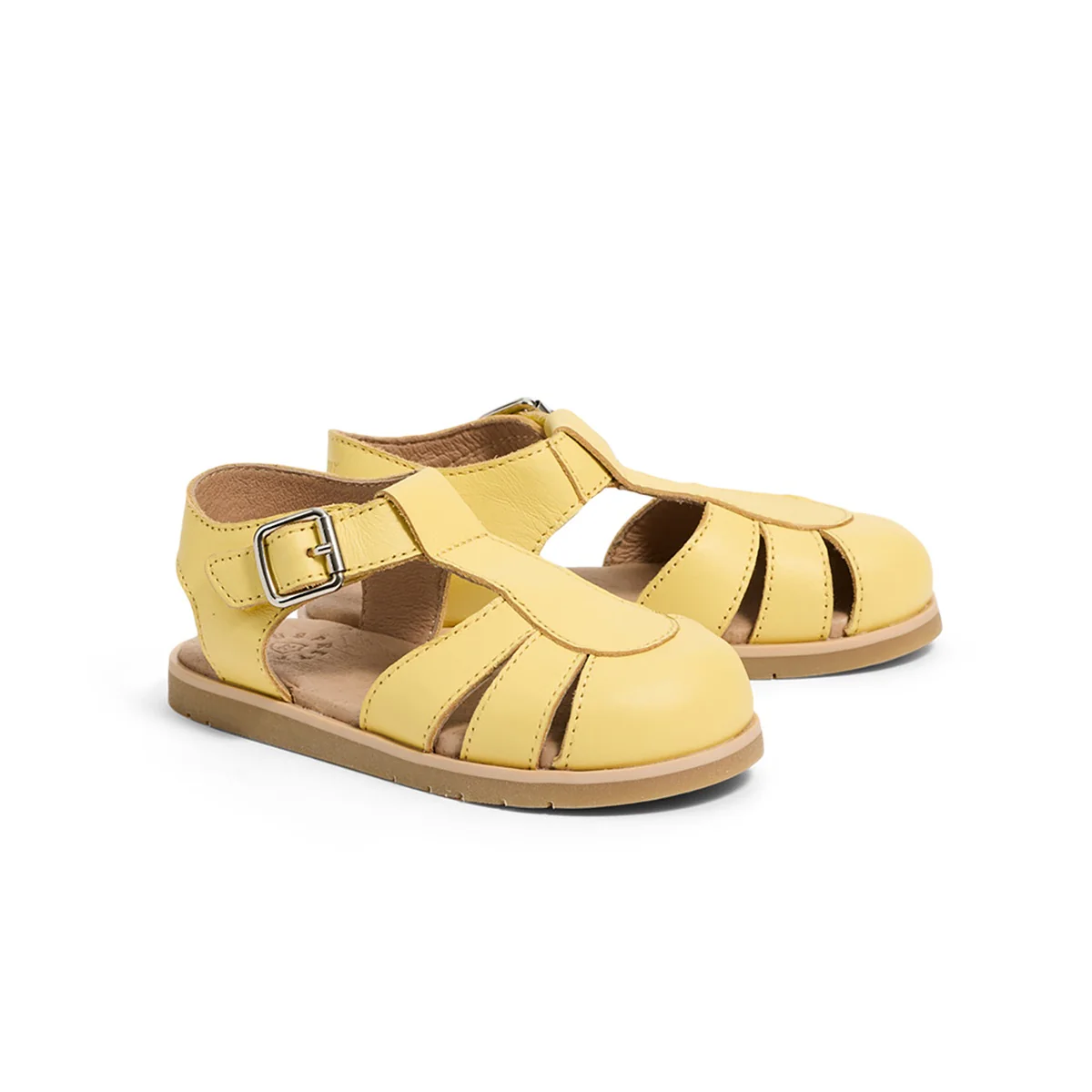 Olive Sunshine
