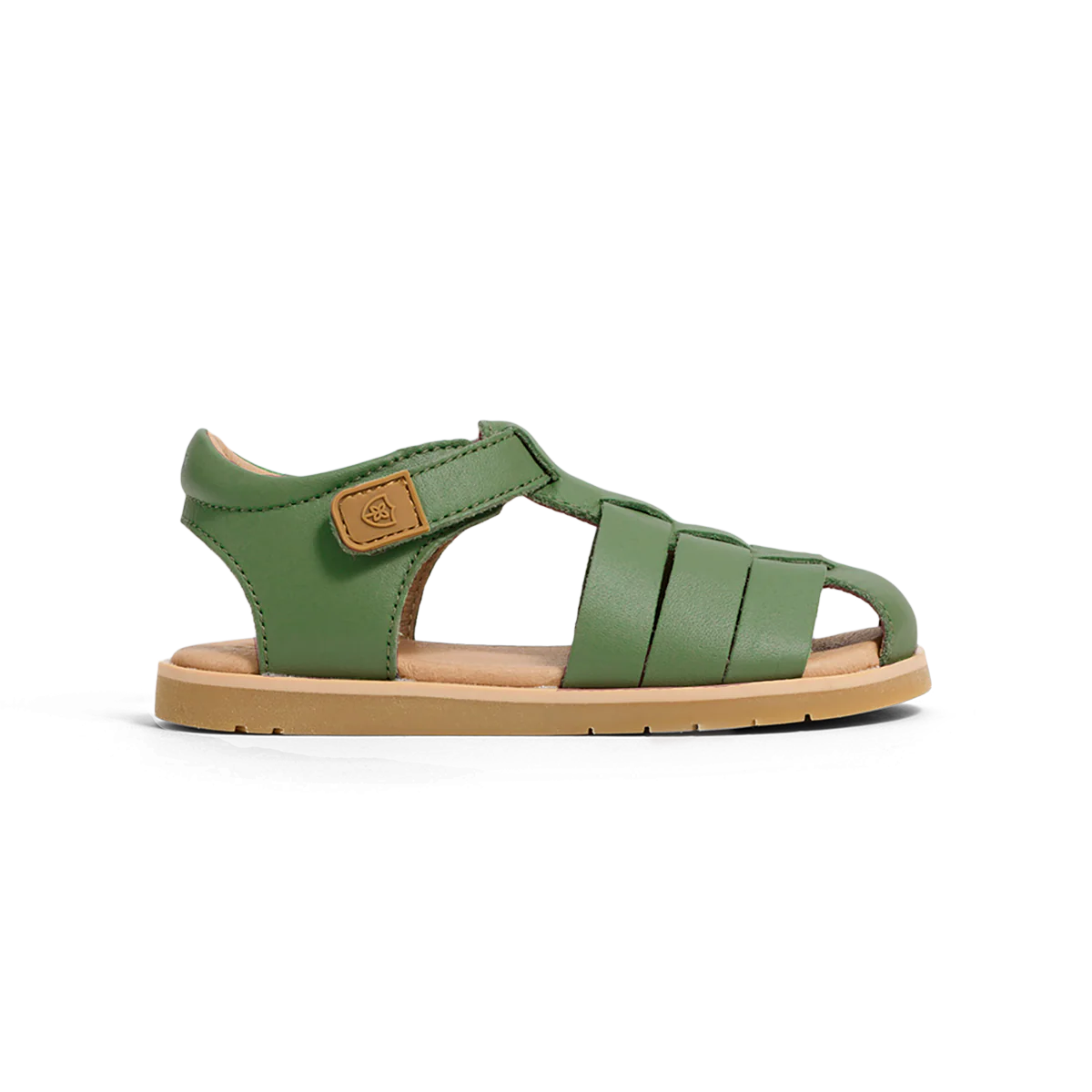 Rocco Grass - Image 8