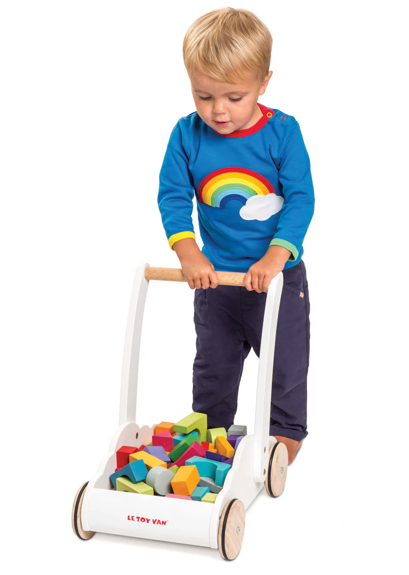 Rainbow Cloud Walker - Image 3