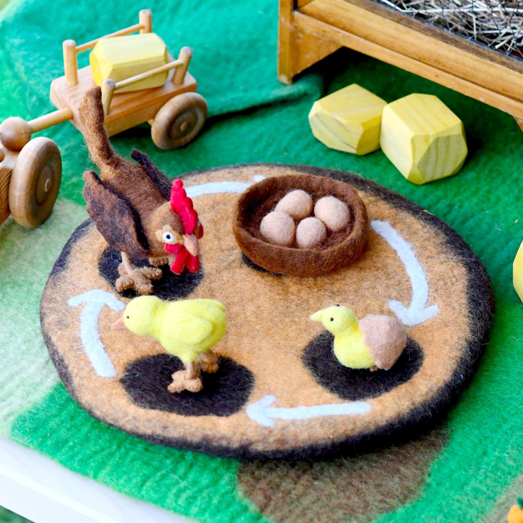 Felt Lifecycle of a Chicken - Image 2