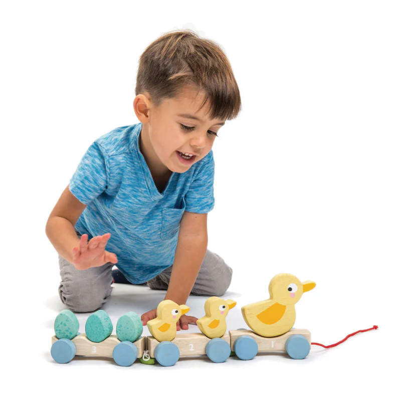 Pull Along Ducks - Image 2