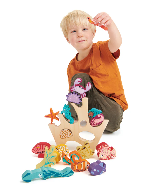 Stacking Coral Reef - Image 4