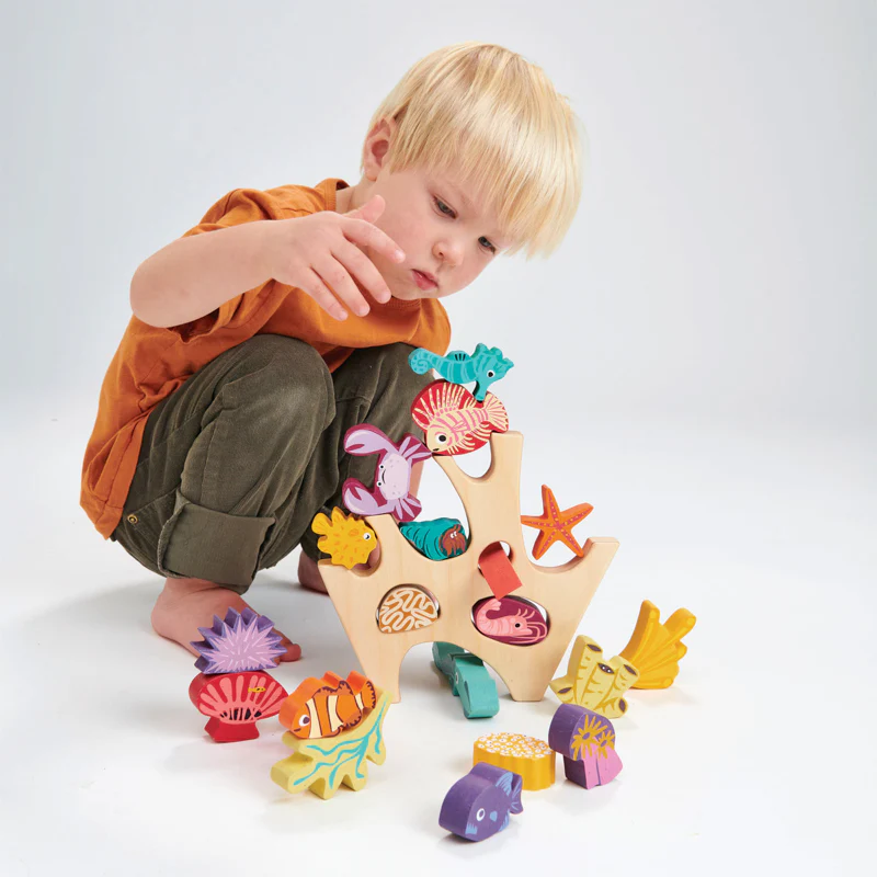 Stacking Coral Reef - Image 6
