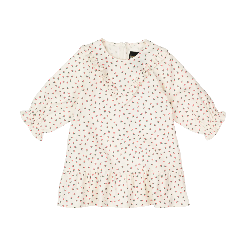 Rock Your Baby Strawberries Dress
