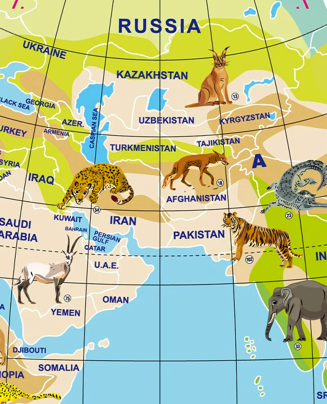 World Globe - Animal Planet - 42cm - Image 5