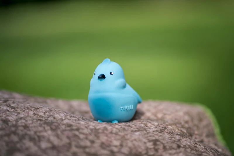 My First Garden Friend - Bird - Image 5
