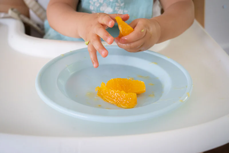 Safari Dinner Set - Image 6
