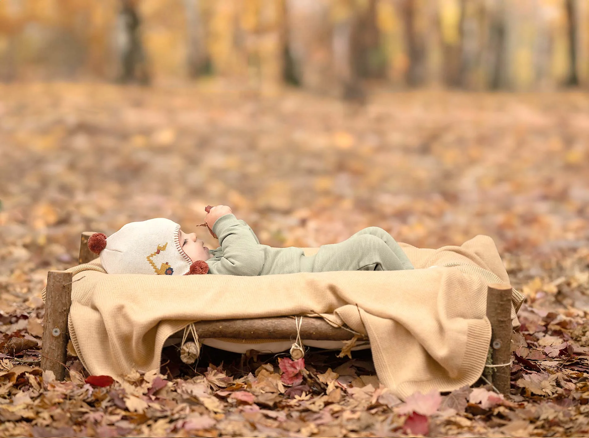 Organic Earmuff - Storytime / Earthmover - Image 3