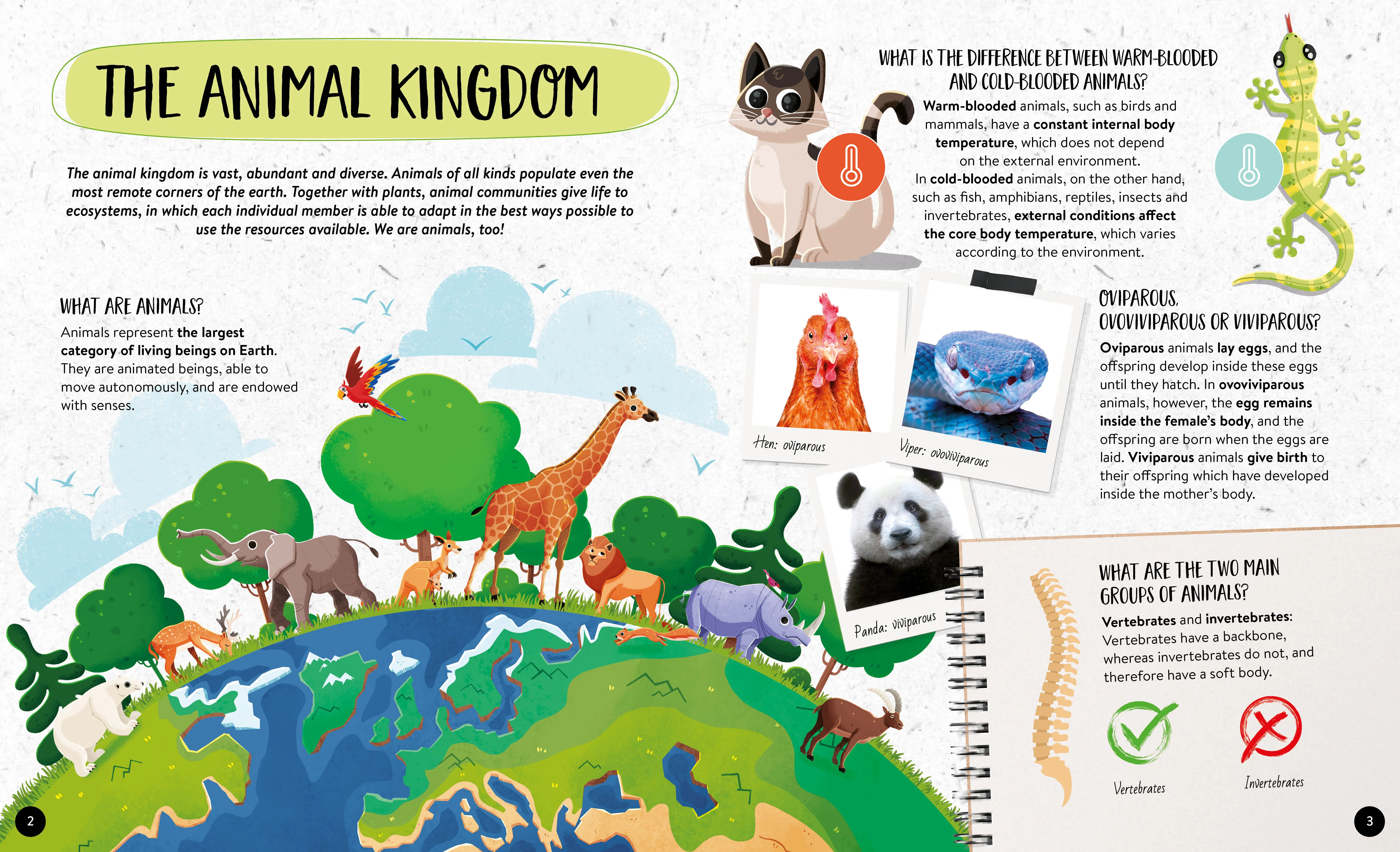 What How Why Animals Book and Poster - Image 2