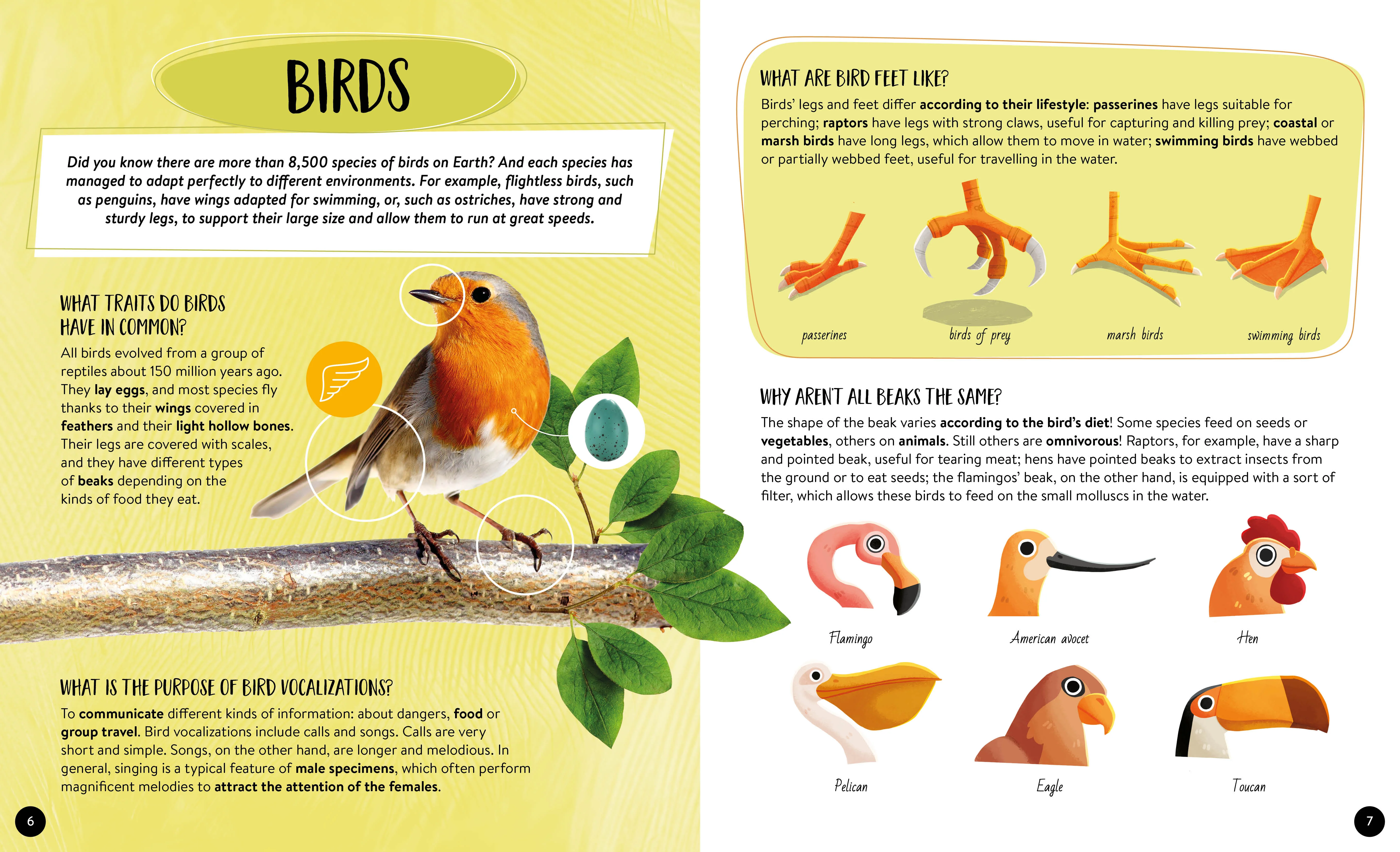 What How Why Animals Book and Poster - Image 3