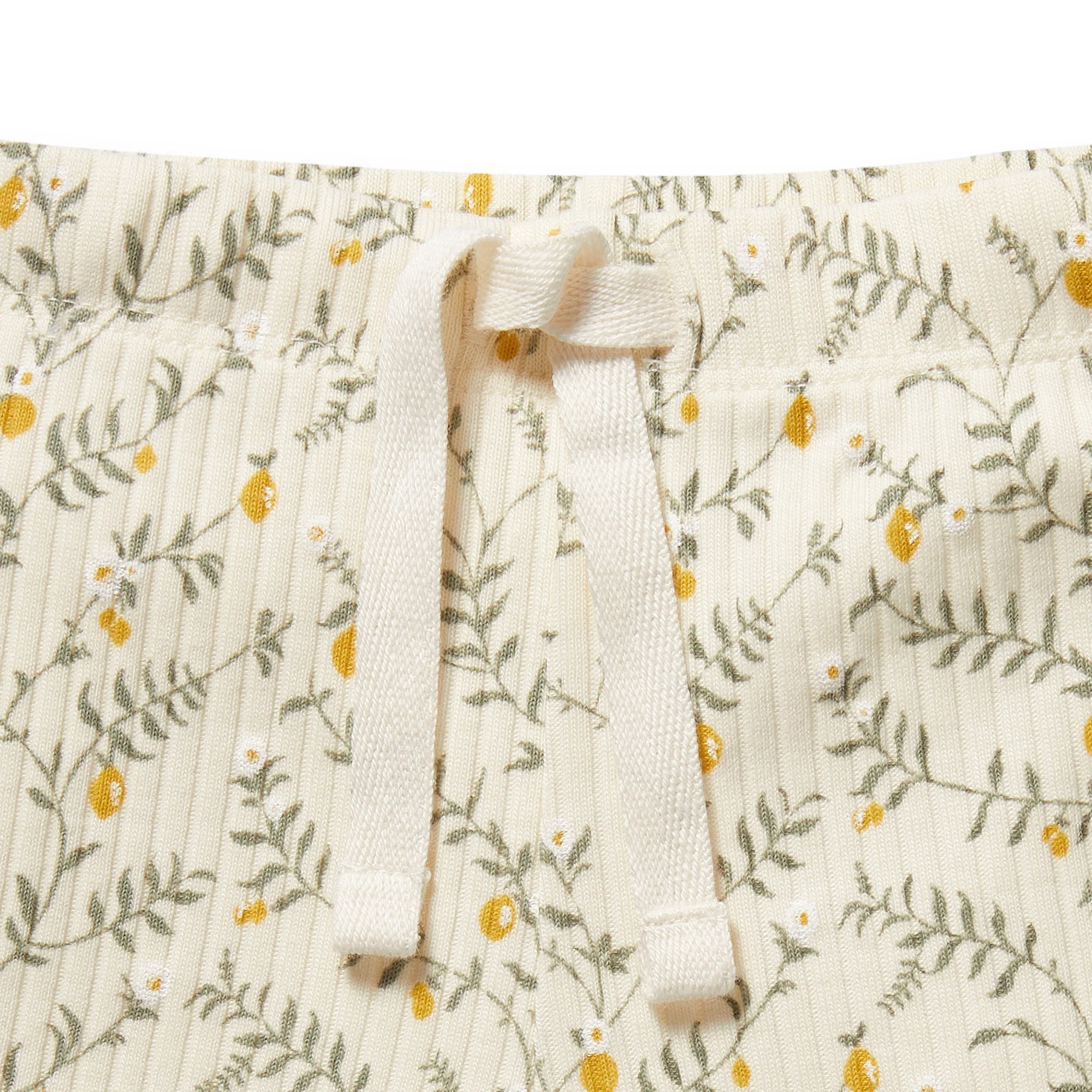 Organic Short - Lemon Leaf - Image 2