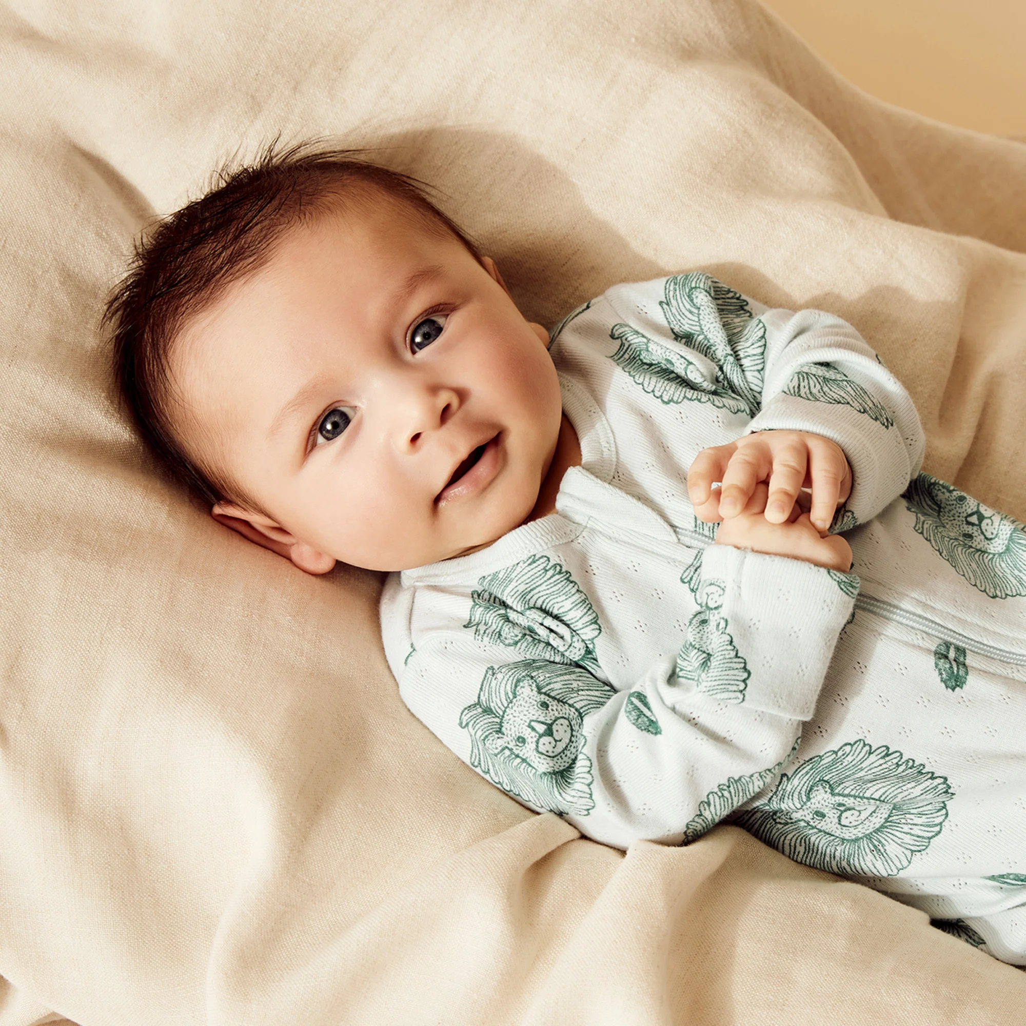 Little Lion Organic Pointelle Zipsuit with Feet - Image 6