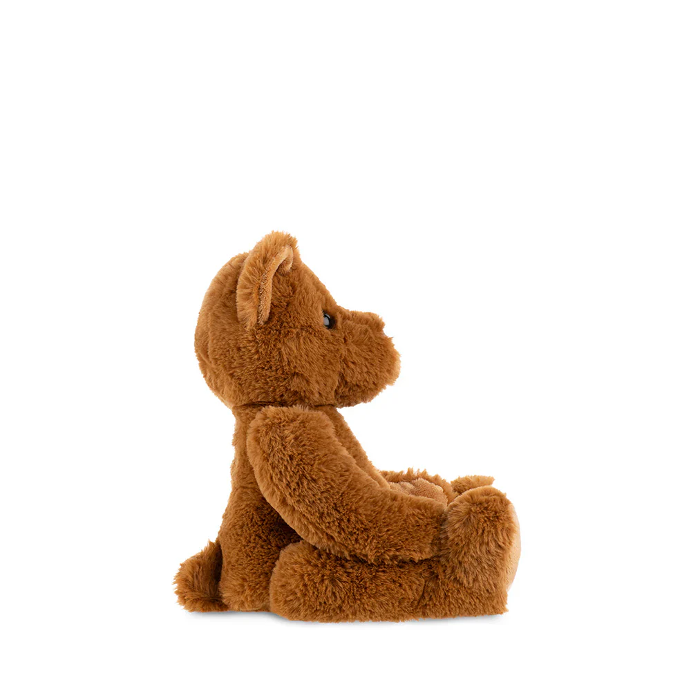 Theodore - Medium - Image 3