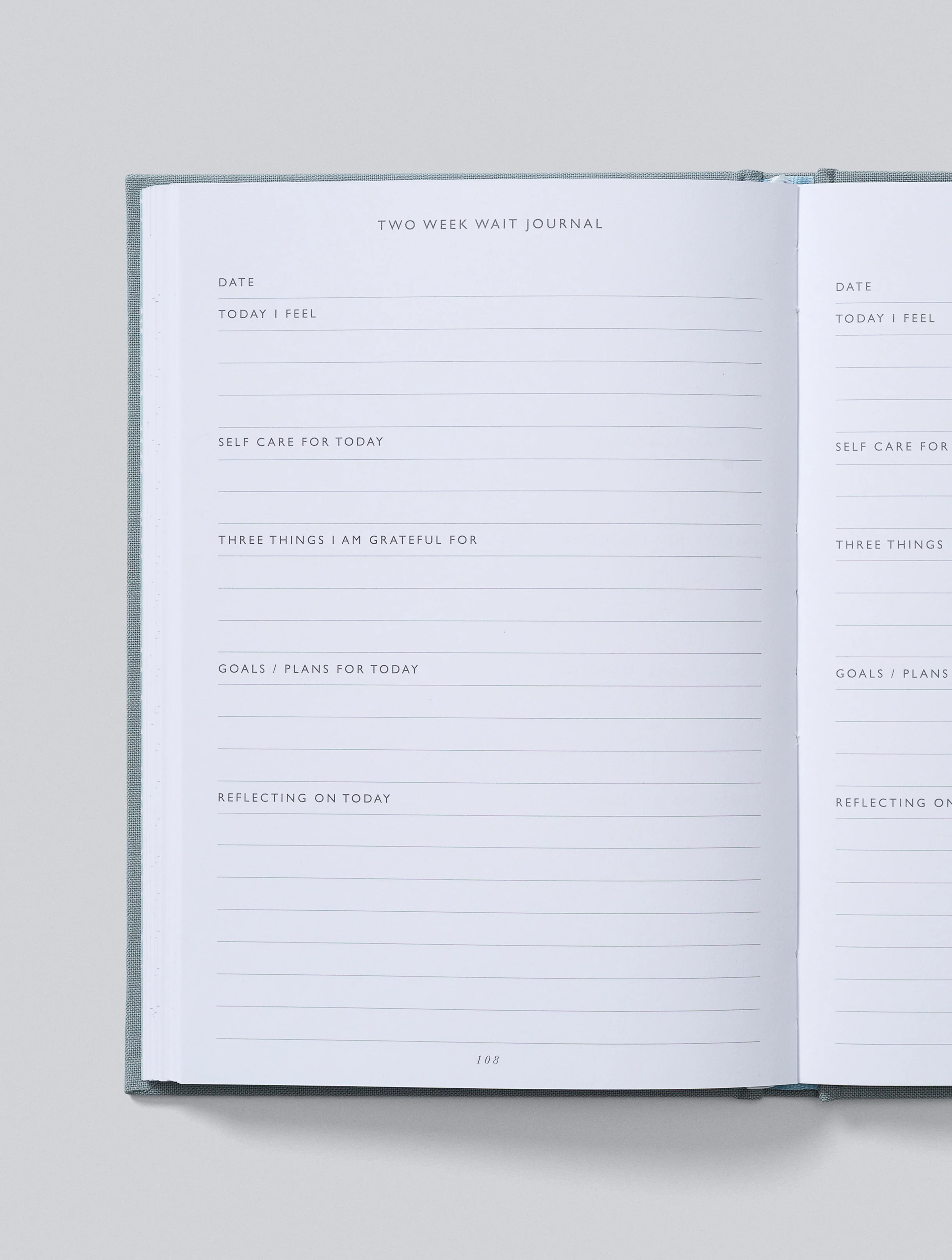 Write To Me - IVF Journal - Grey - Image 13